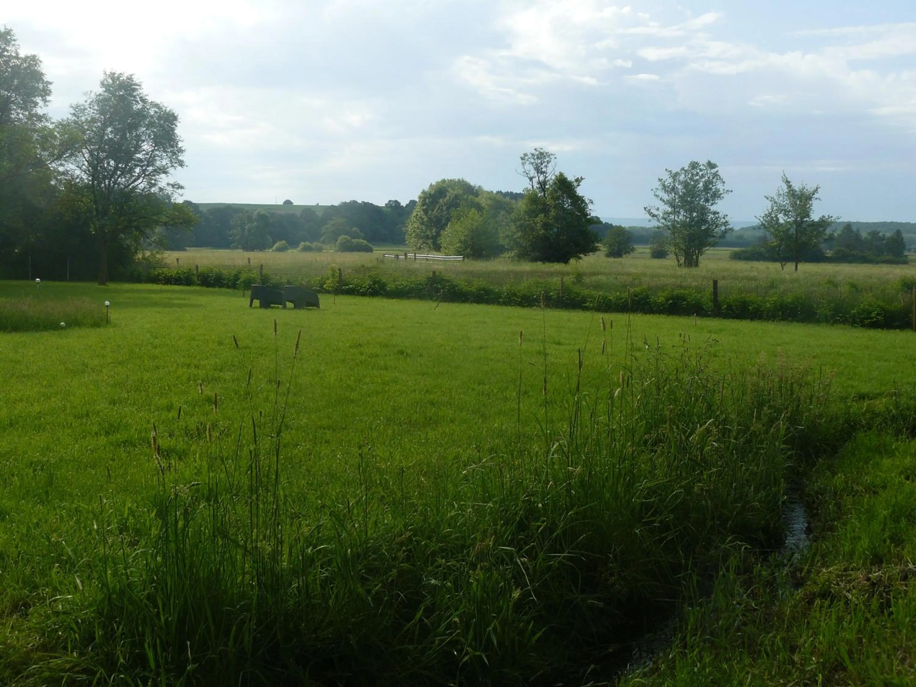 Garden in La Fleur et Le Soleil (F&S)