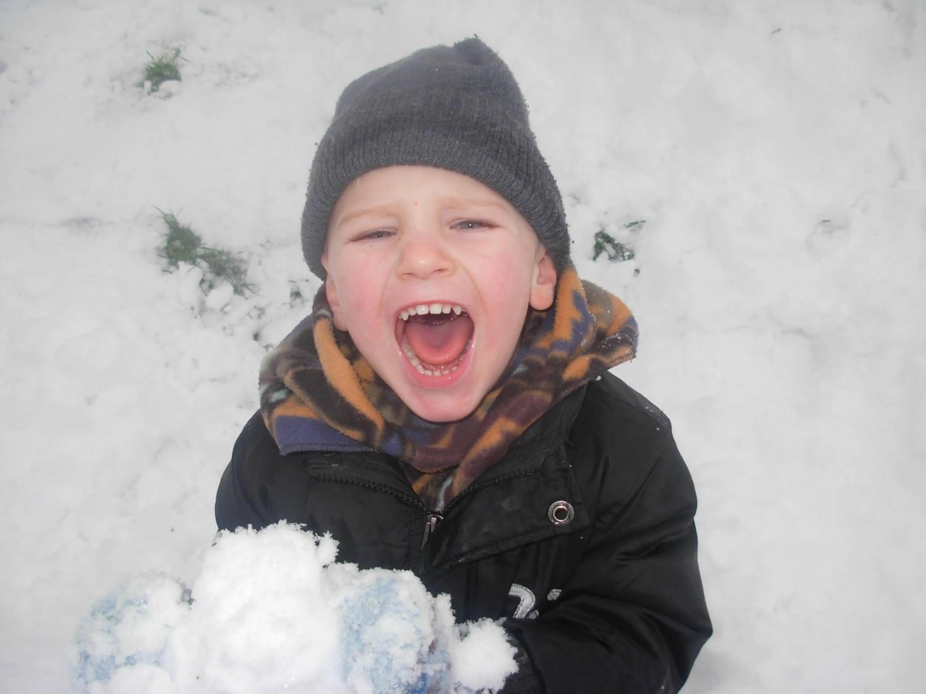 On site in La Fleur et Le Soleil (F&S)