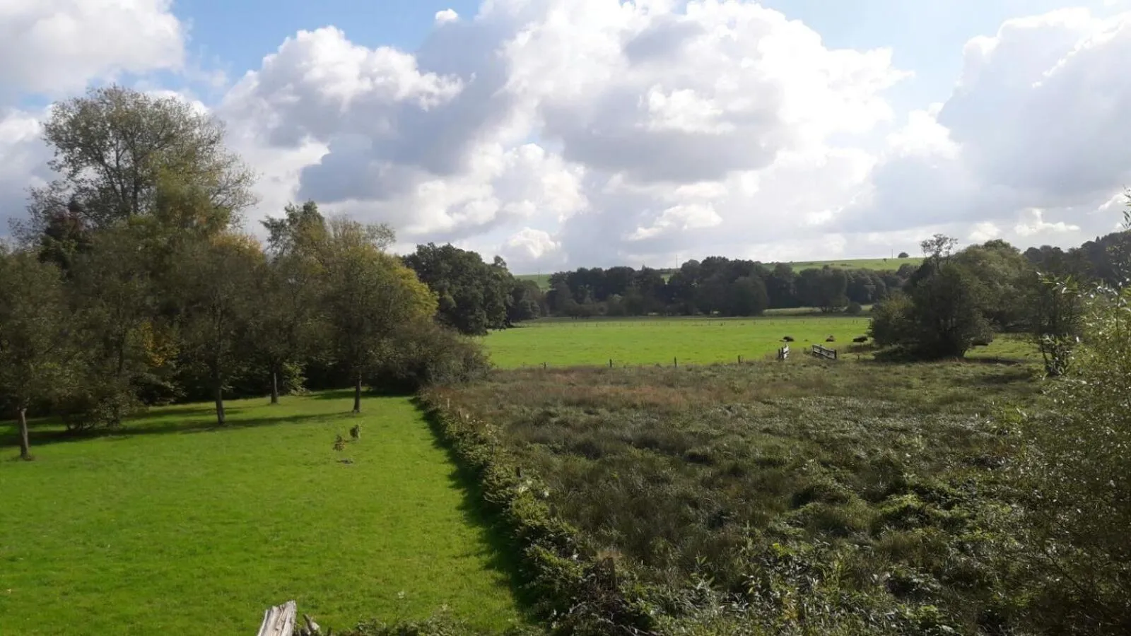 On site in La Fleur et Le Soleil (F&S)