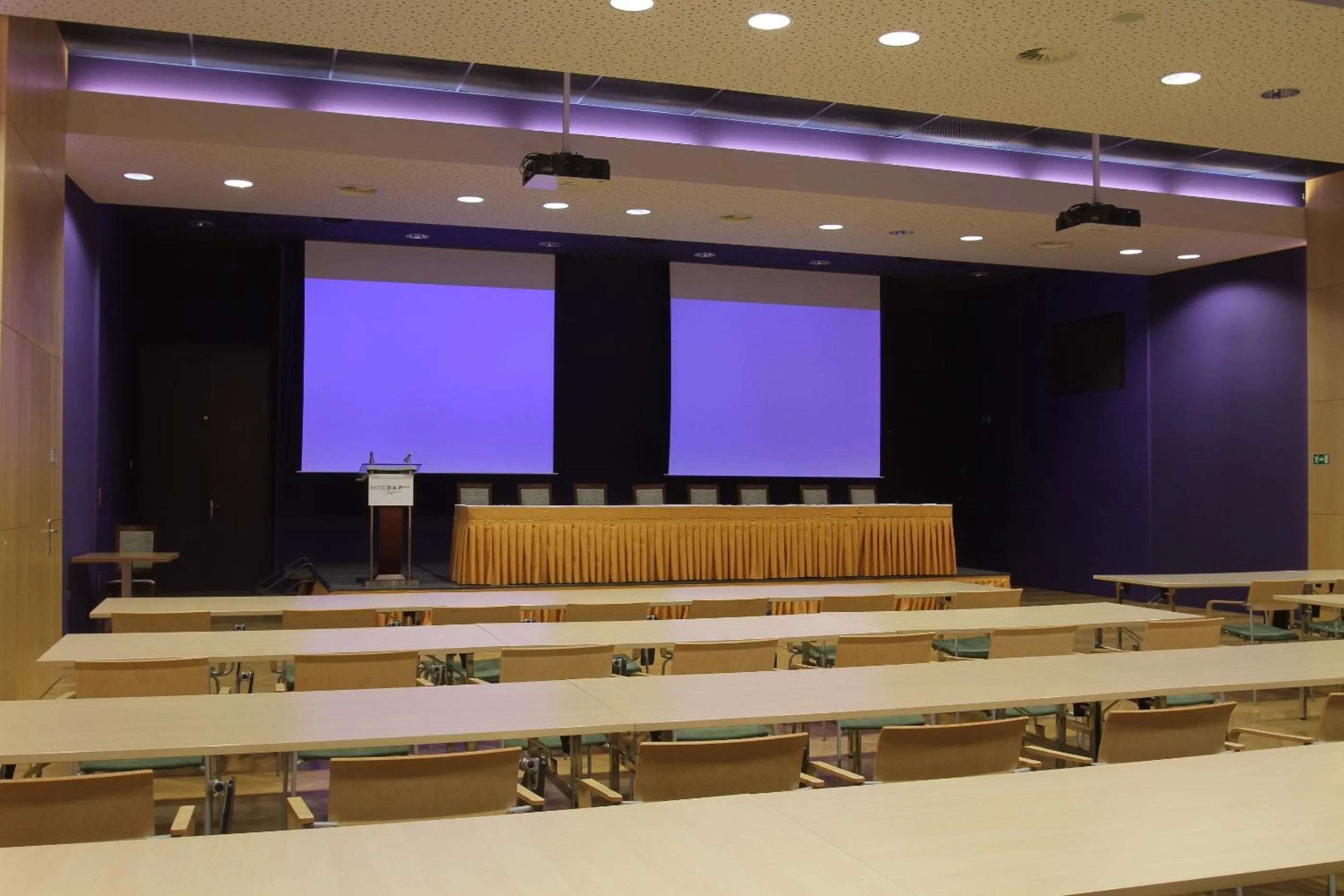 Business facilities in Hotel DAP