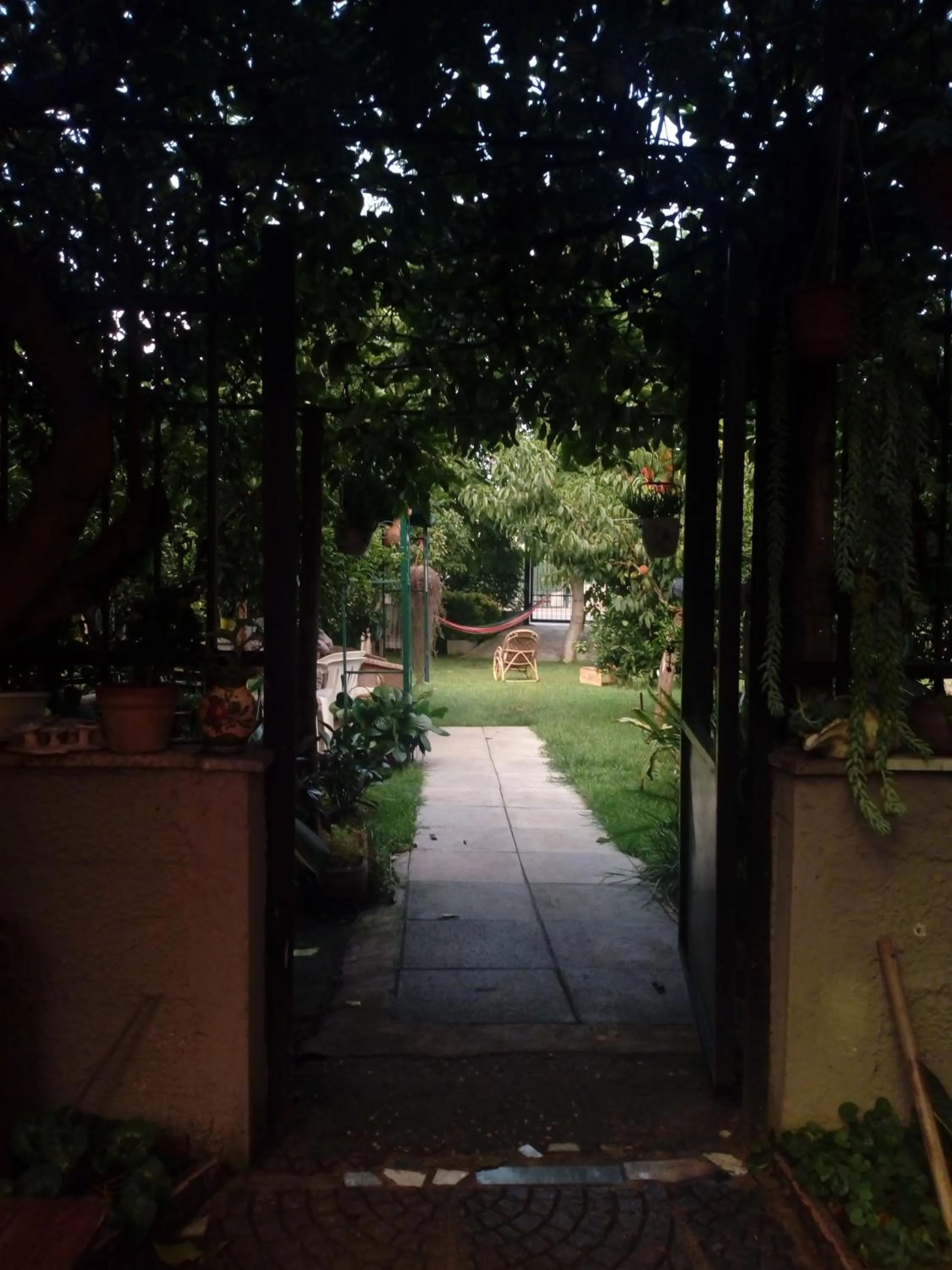 Garden in Green Garden