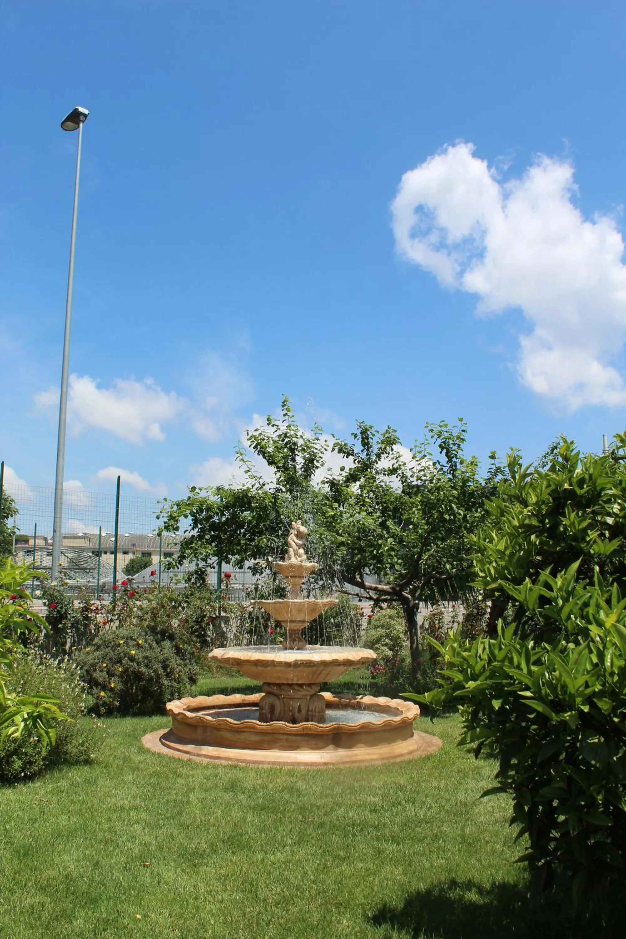 Garden in Green Garden