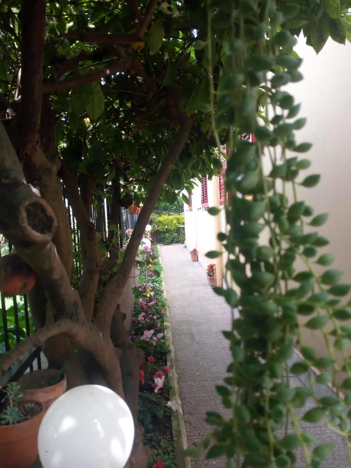 Garden in Green Garden