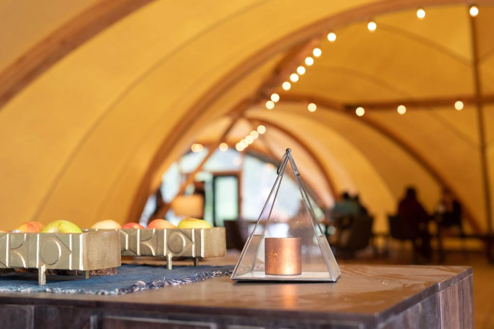 Lobby or reception in Under Canvas Great Smoky Mountains