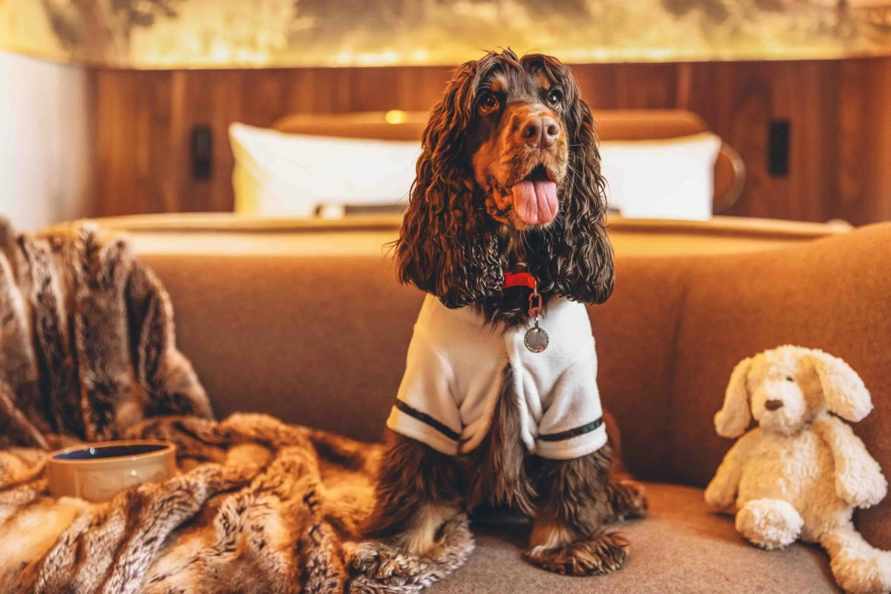 Other in St Pancras London, Autograph Collection