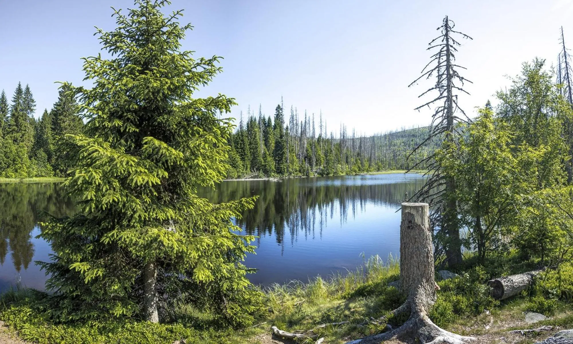 Area and facilities in Natur- & Wellnesshotel Brunner Hof