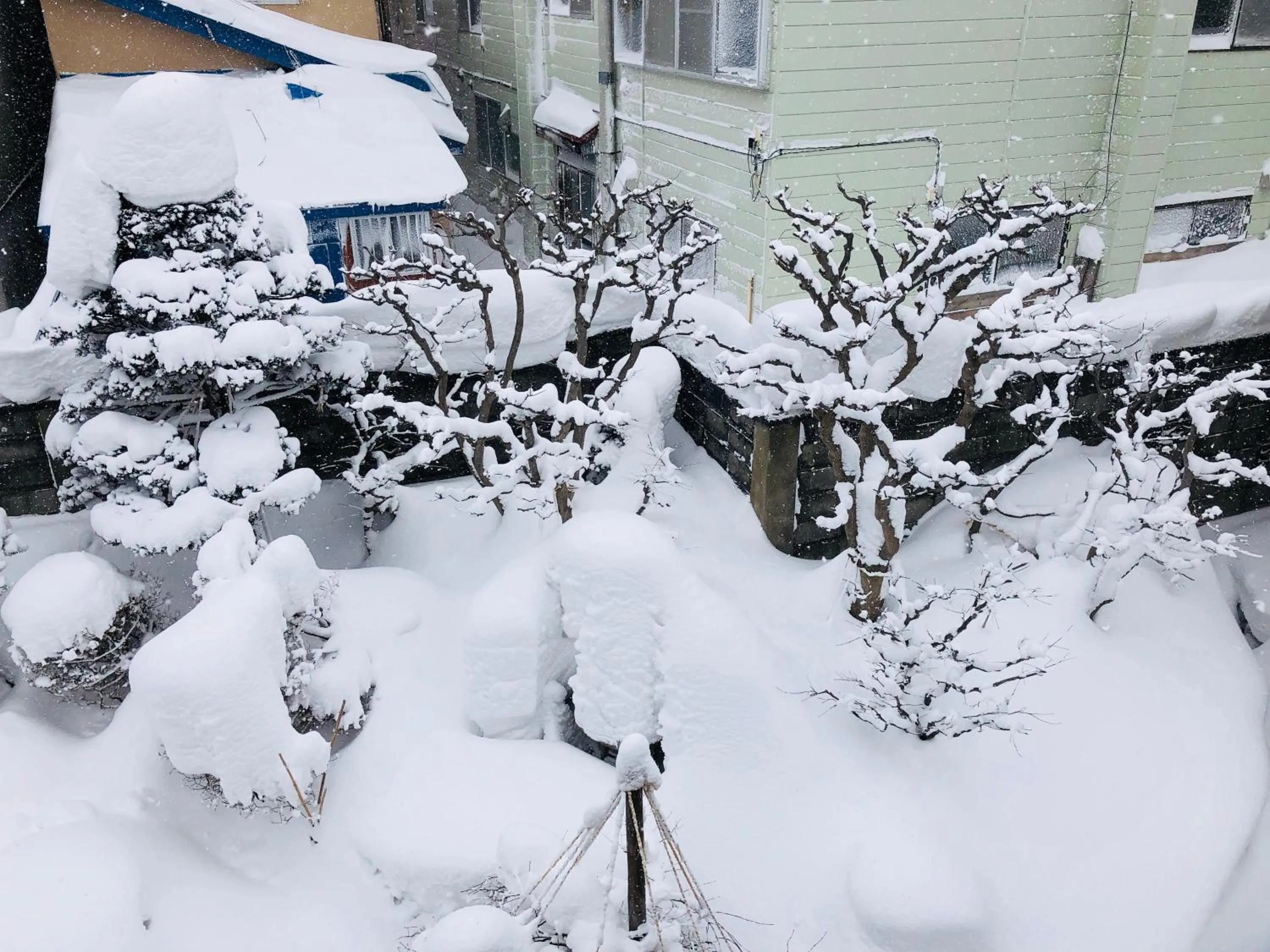 Garden view in Nishikien inn