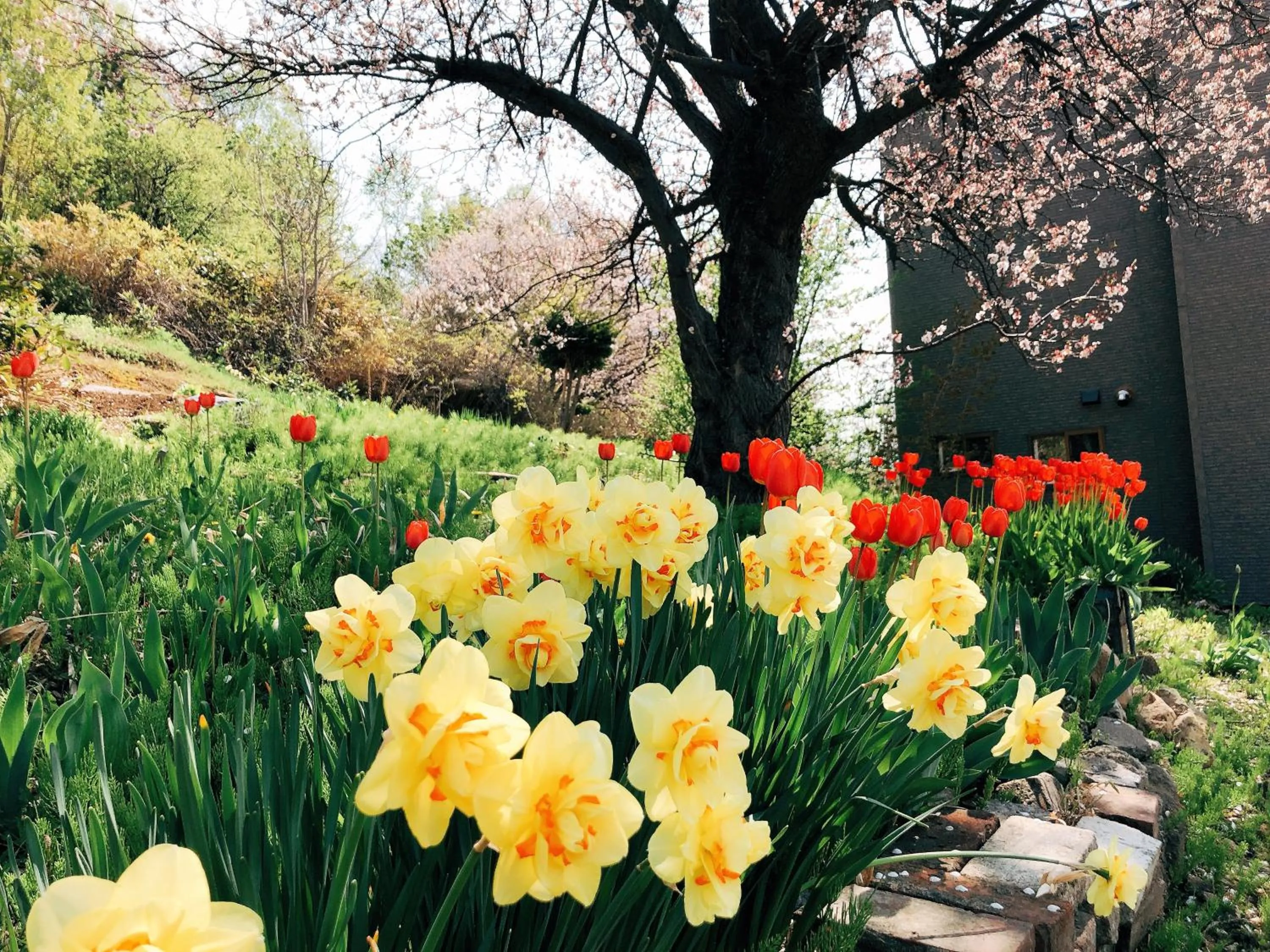 Spring in Nishikien inn