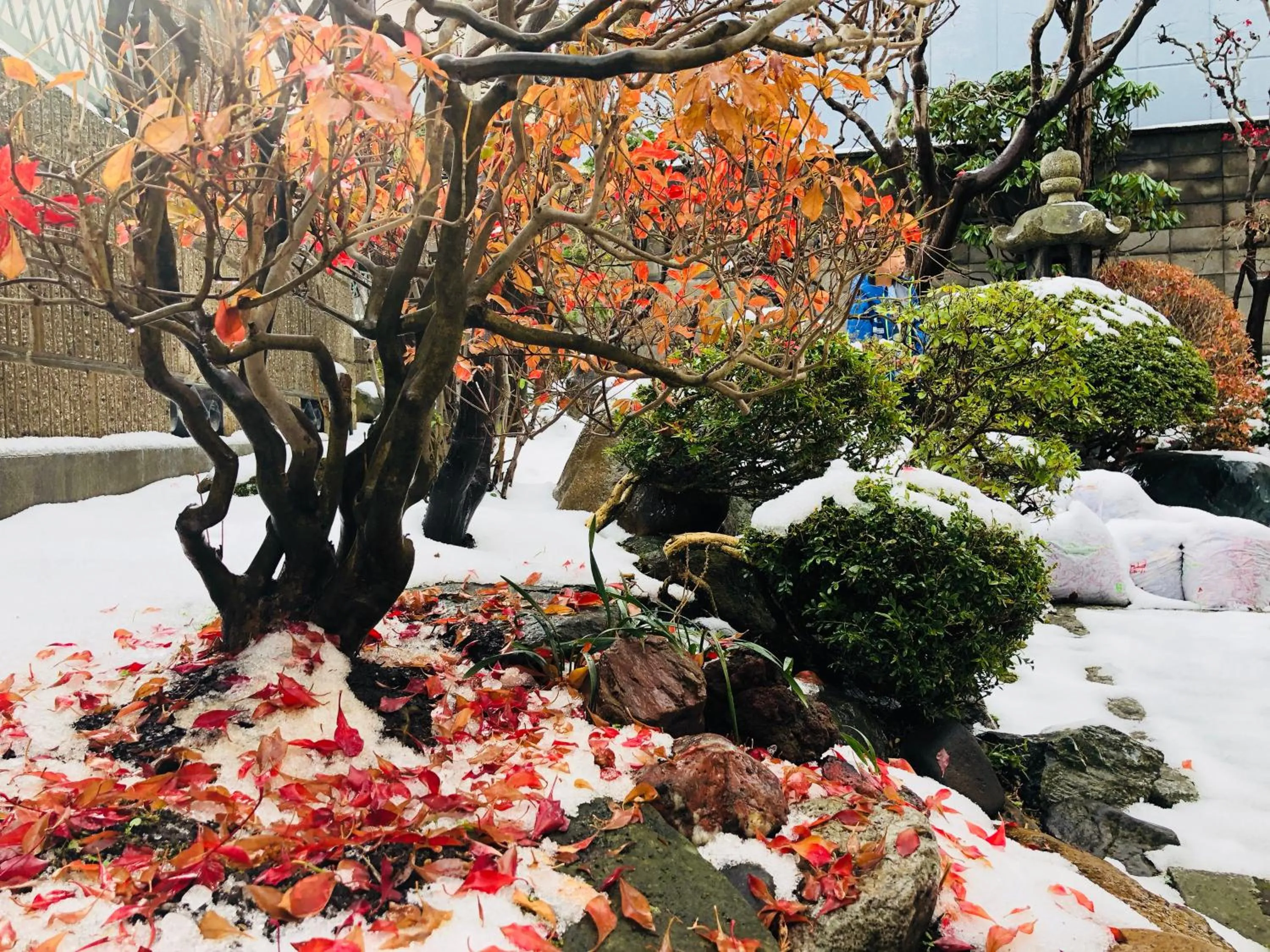 Garden view in Nishikien inn