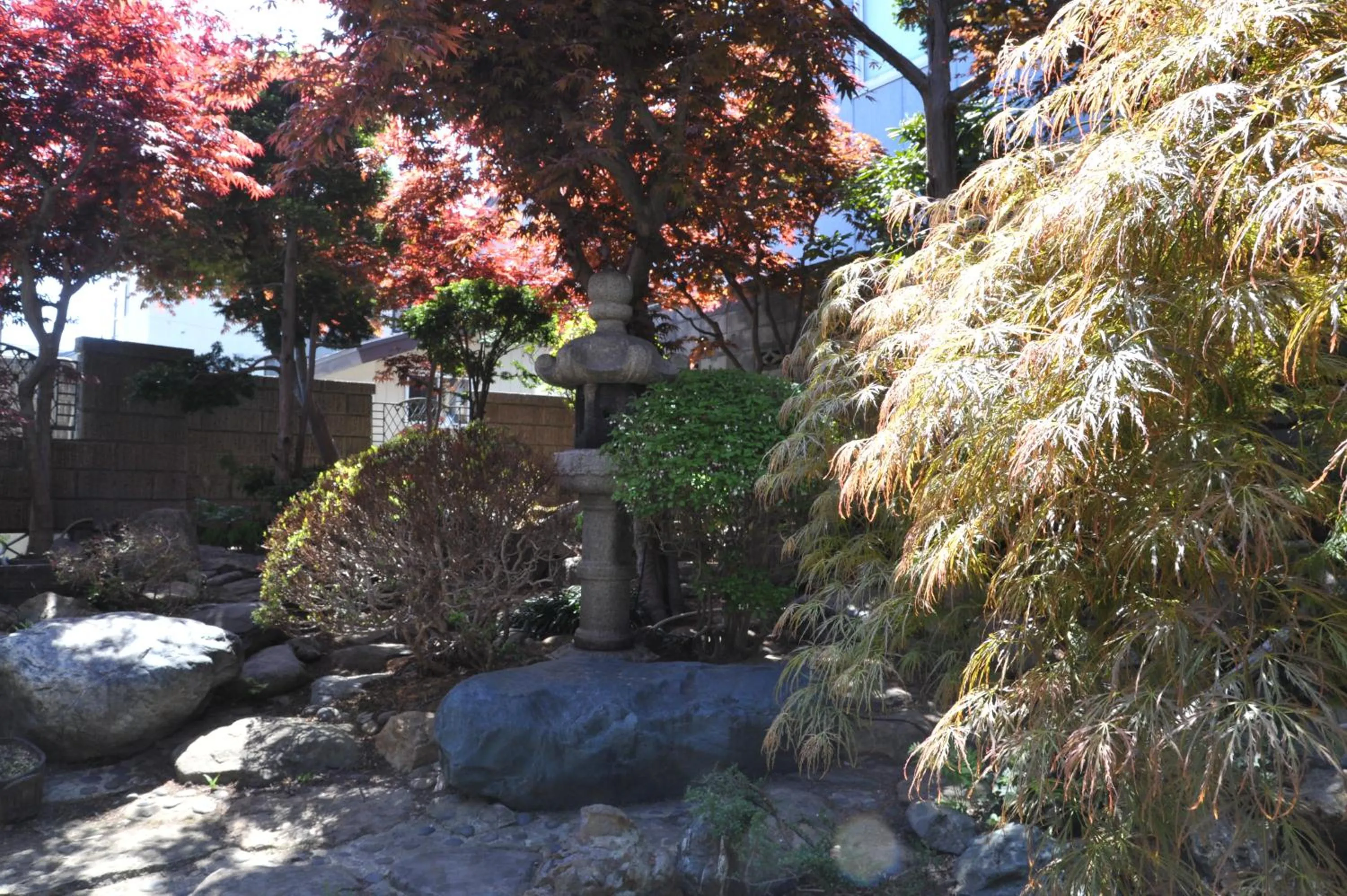 Garden in Nishikien inn