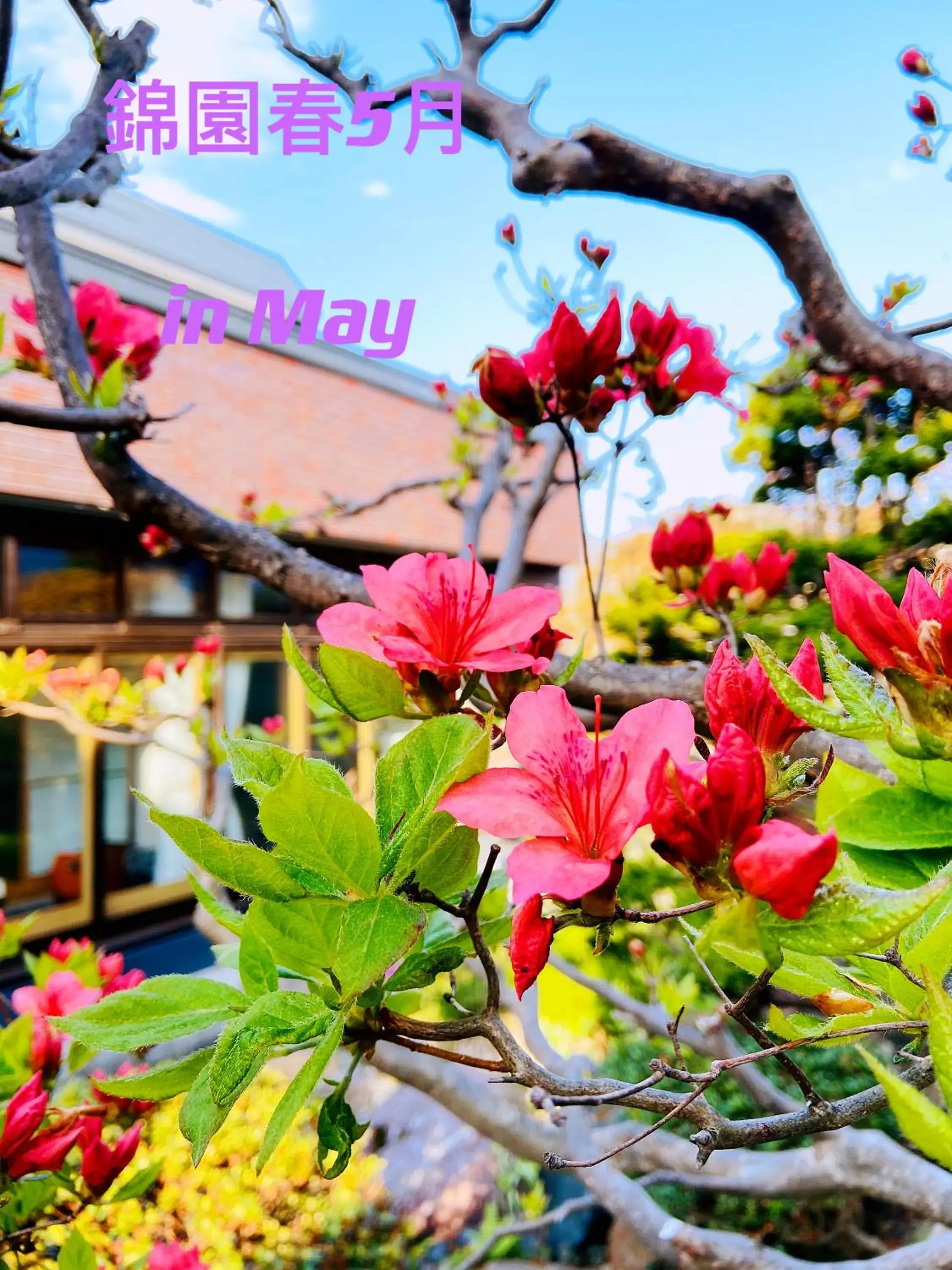 Standard Villa in Nishikien inn Standard Villa in Nishikien inn