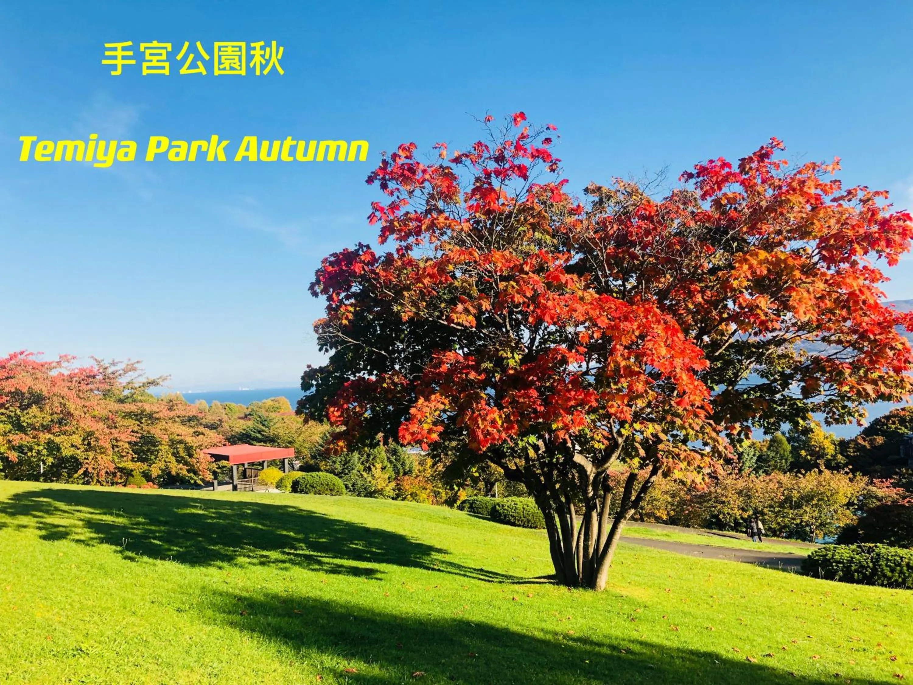 Natural landscape in Nishikien inn