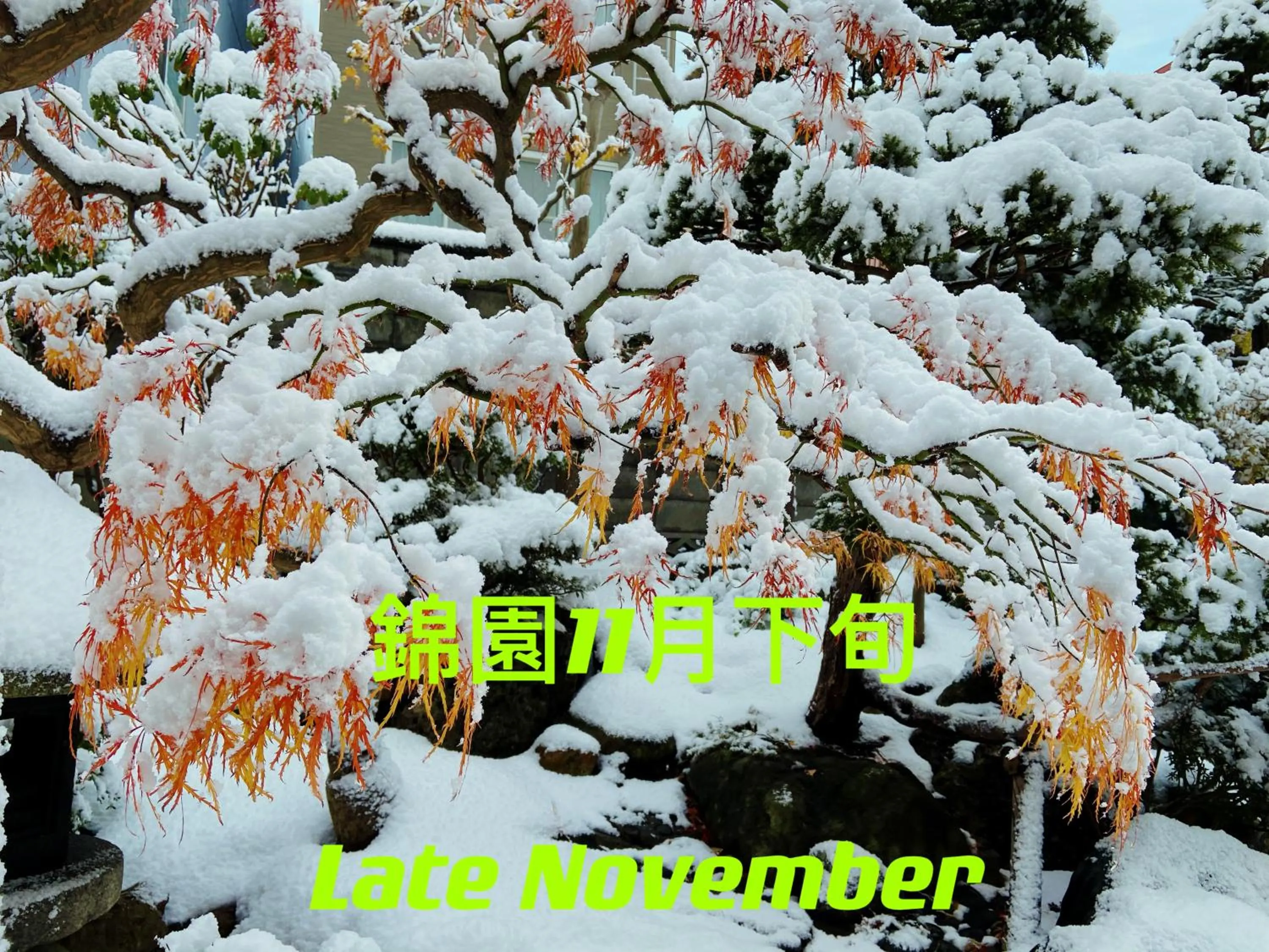 Winter in Nishikien inn