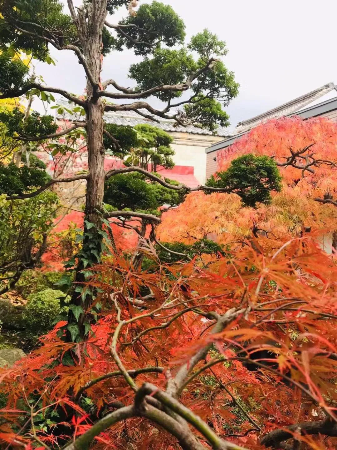 Garden in Nishikien inn