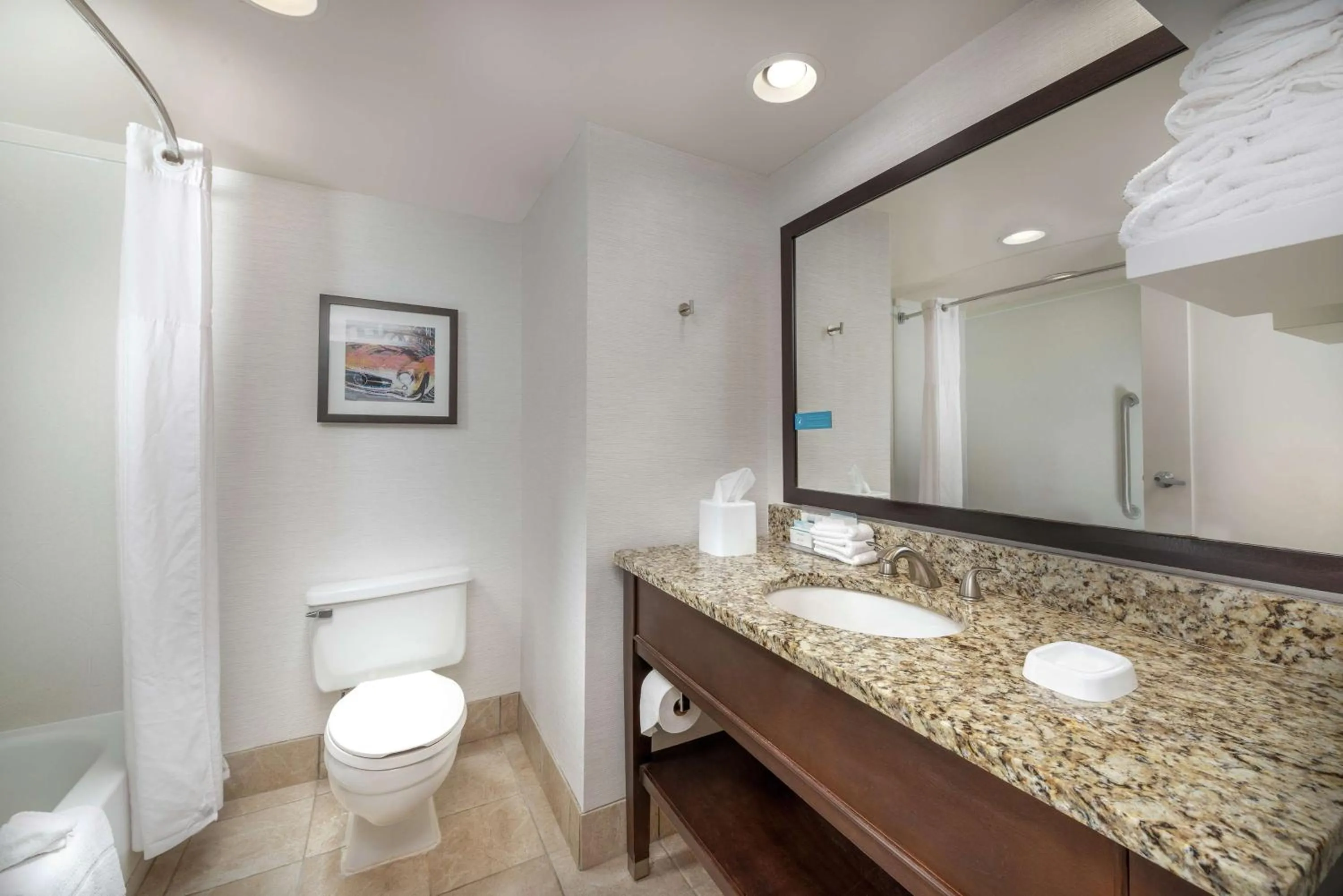 Bathroom in Hampton Inn Tuscaloosa - East