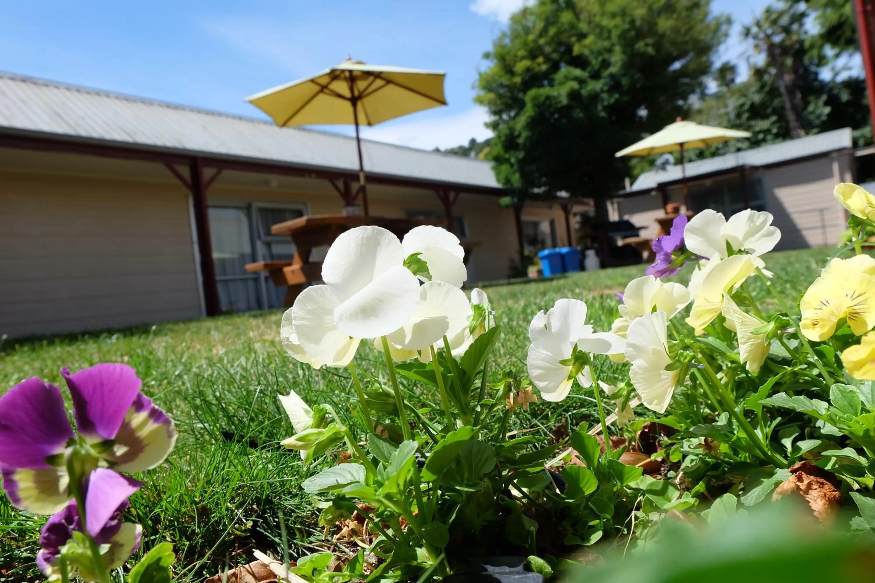 Property building in Castles Motel & Driftwood Motel
