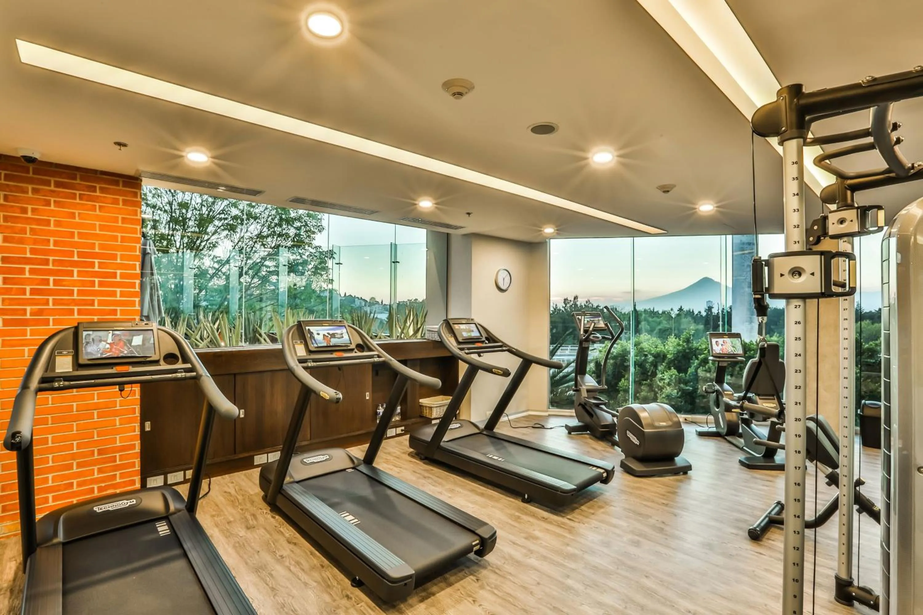 Fitness centre/facilities in Four Points by Sheraton Puebla
