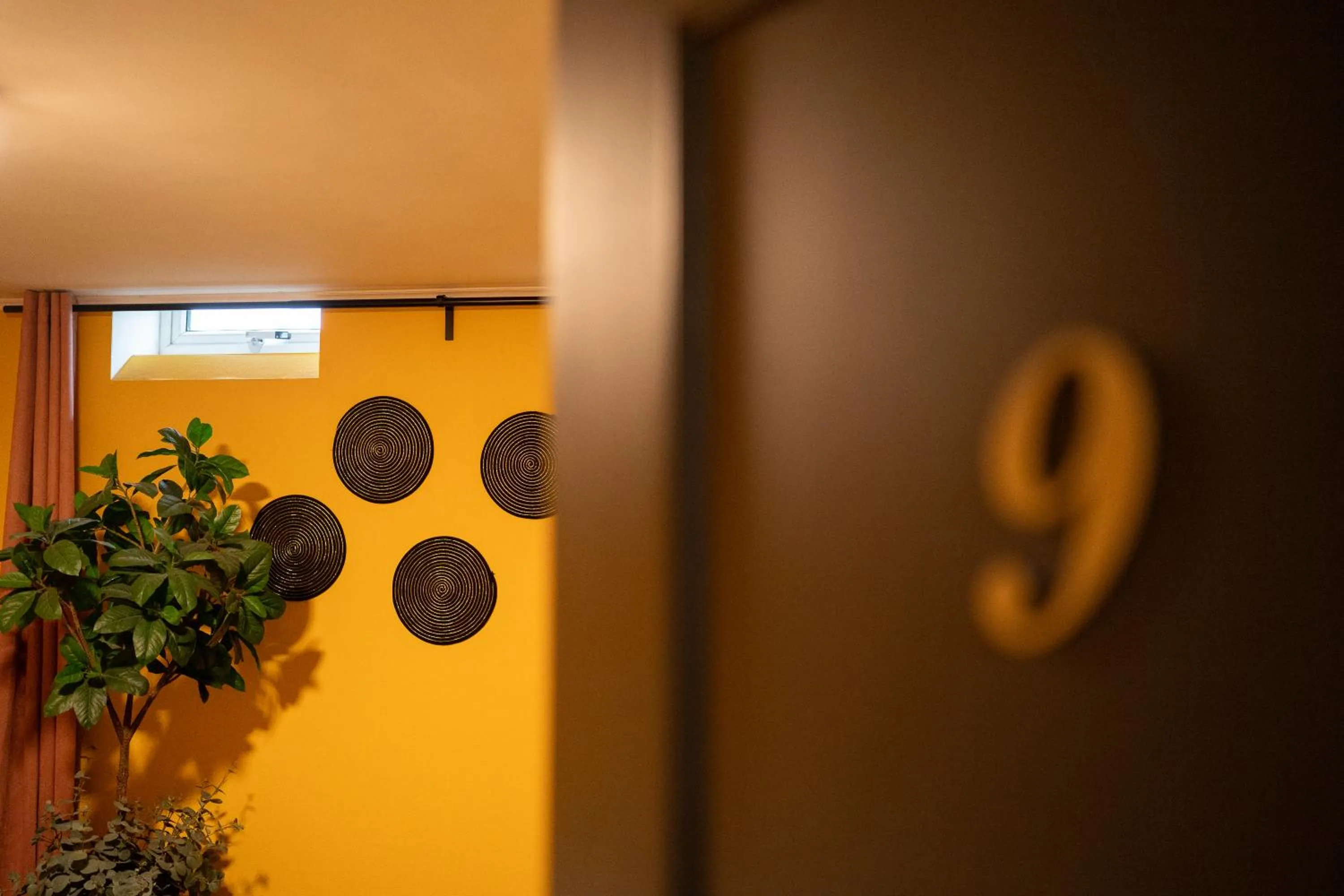 View (from property/room) in Boutique Lodge Zandvoort