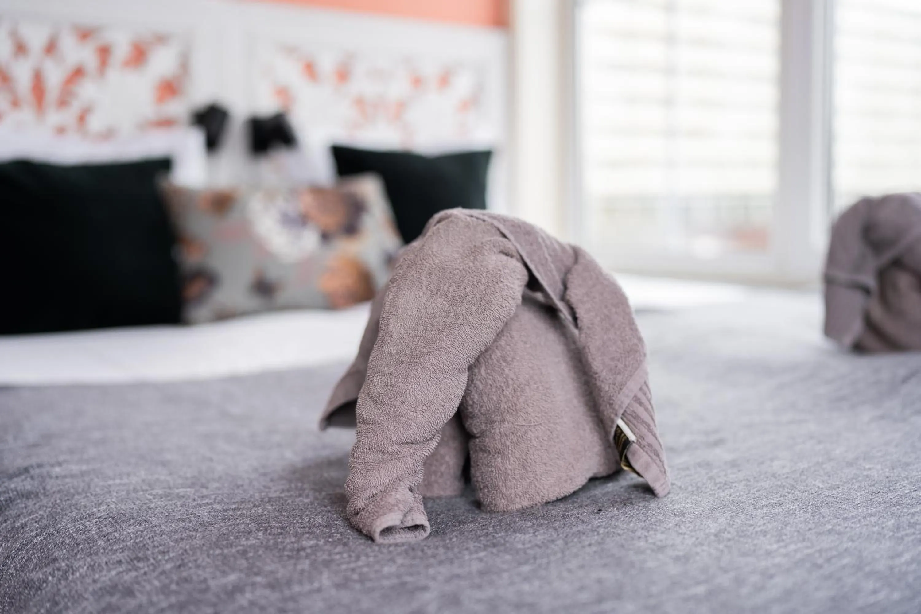 towels, Bed in Boutique Lodge Zandvoort