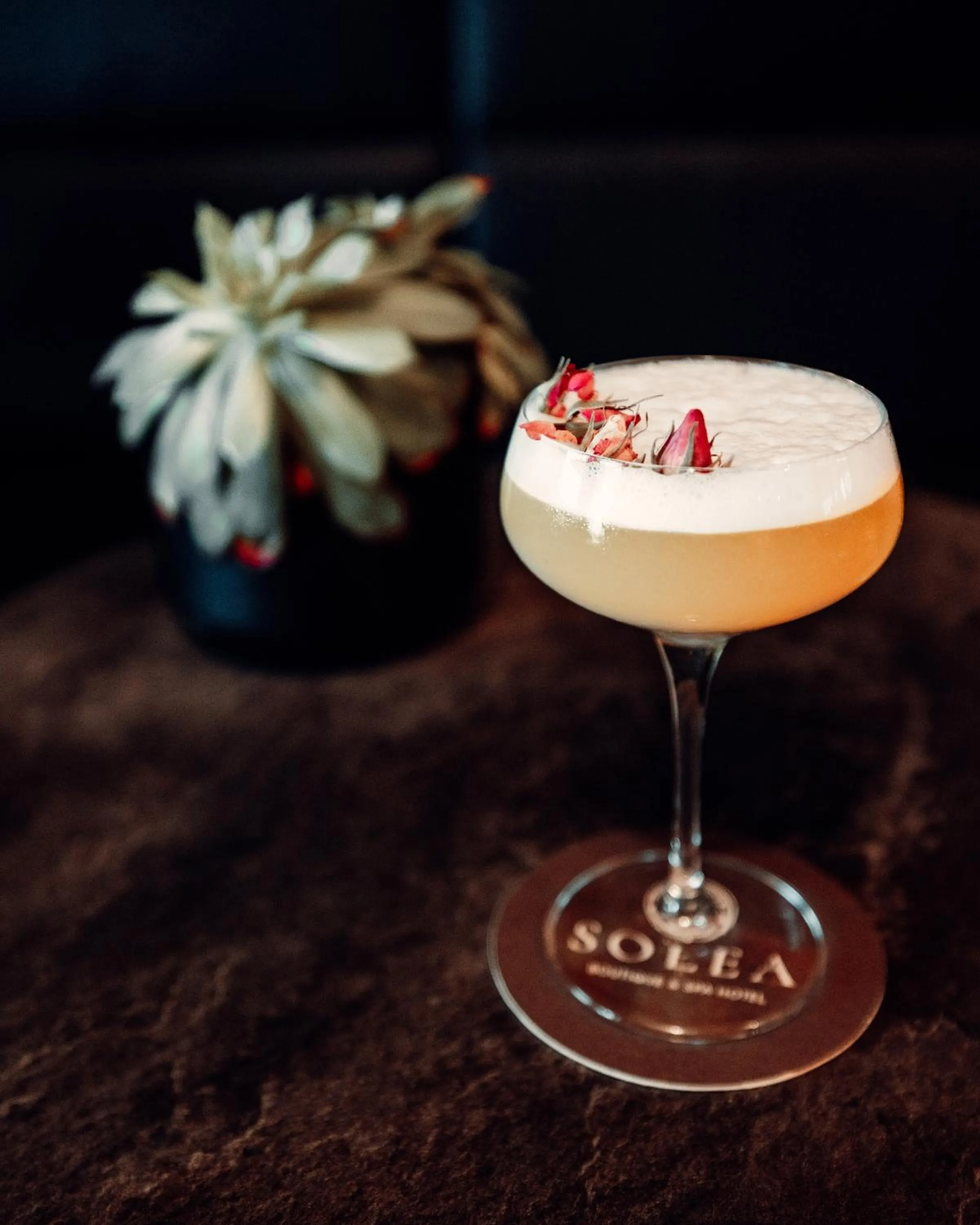 Restaurant/places to eat in SOLEA DOLOMITI Boutique Hotel