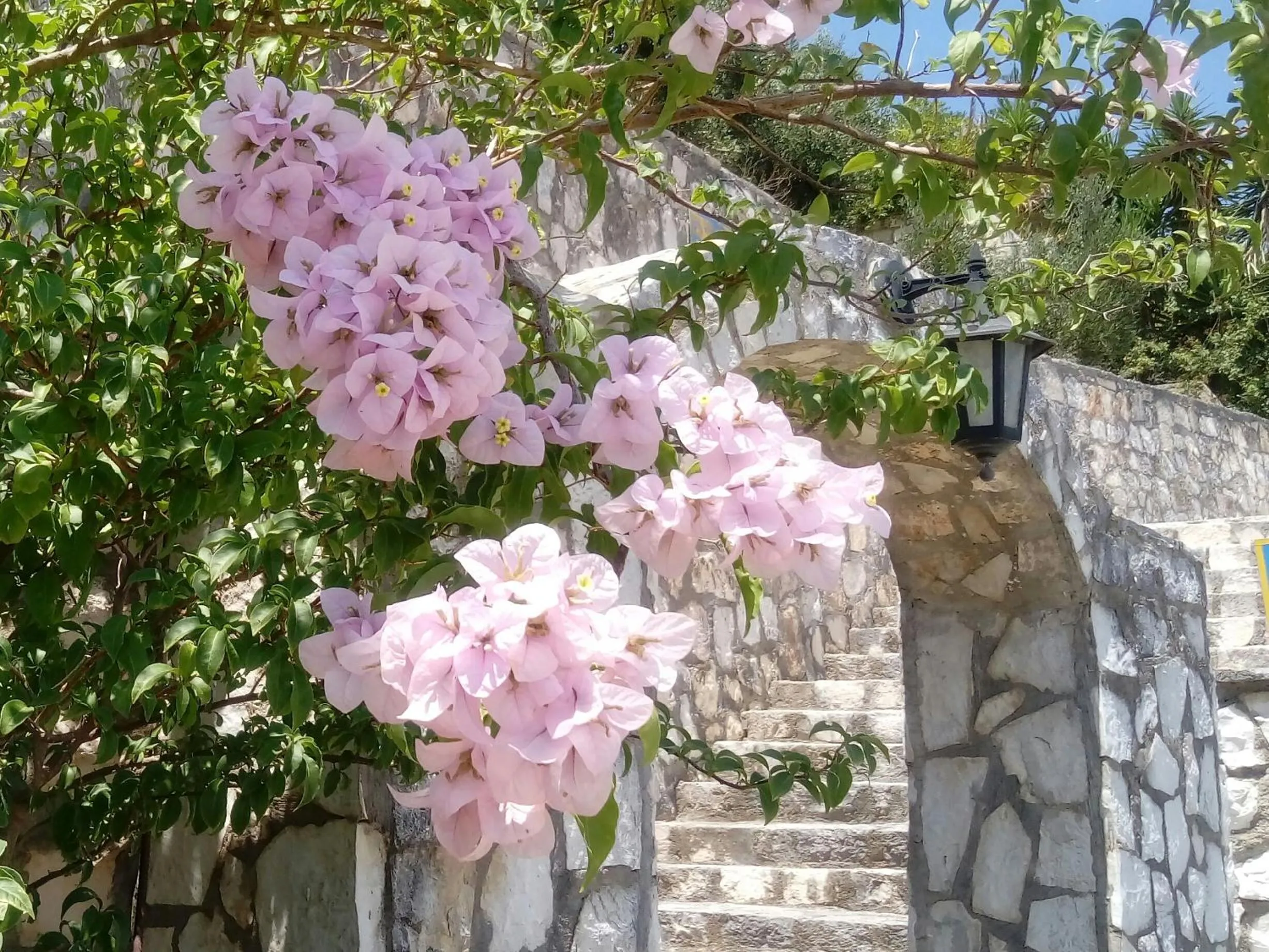 Facade/entrance in Studios Rania - Rania Studios & Apartments