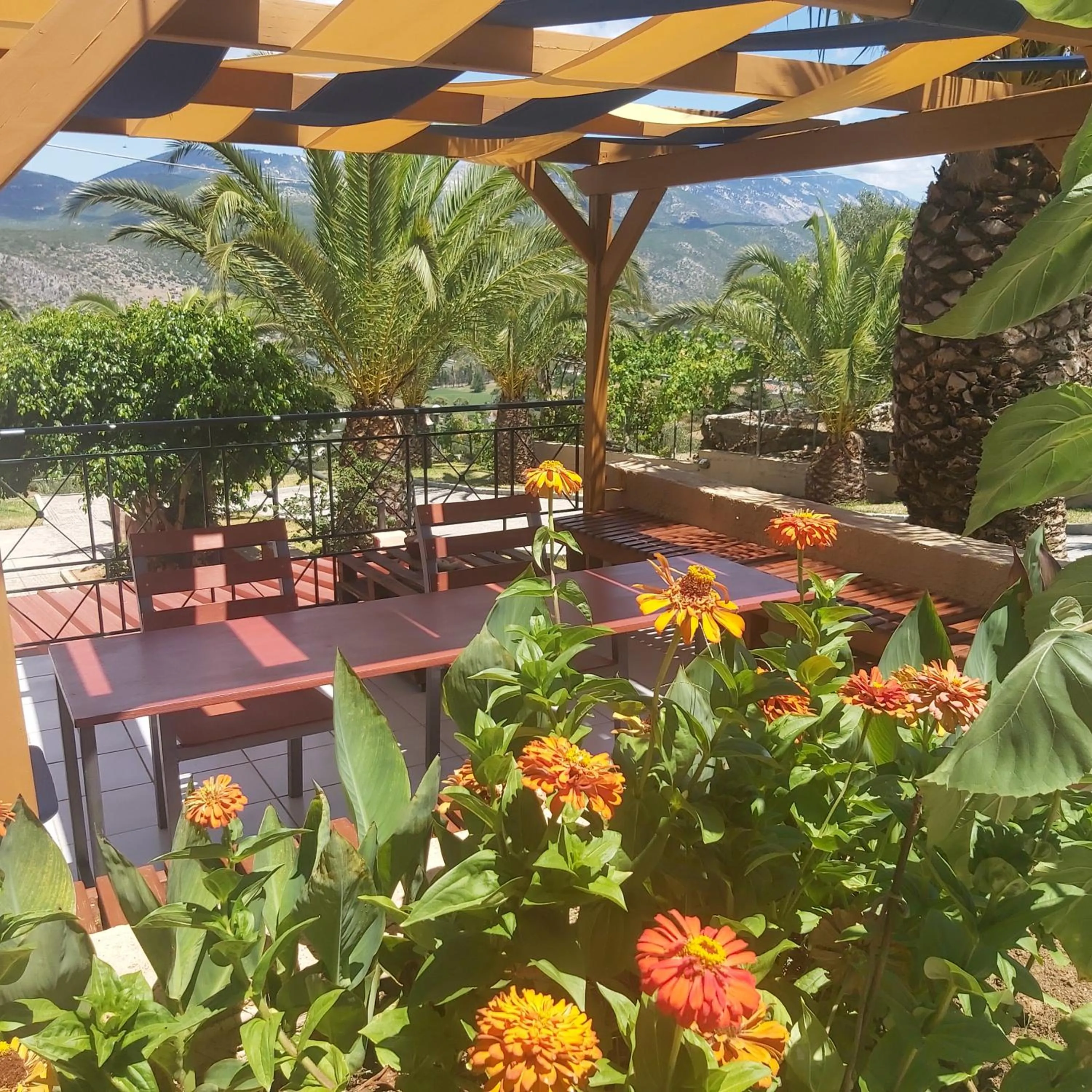 Garden view in Studios Rania - Rania Studios & Apartments