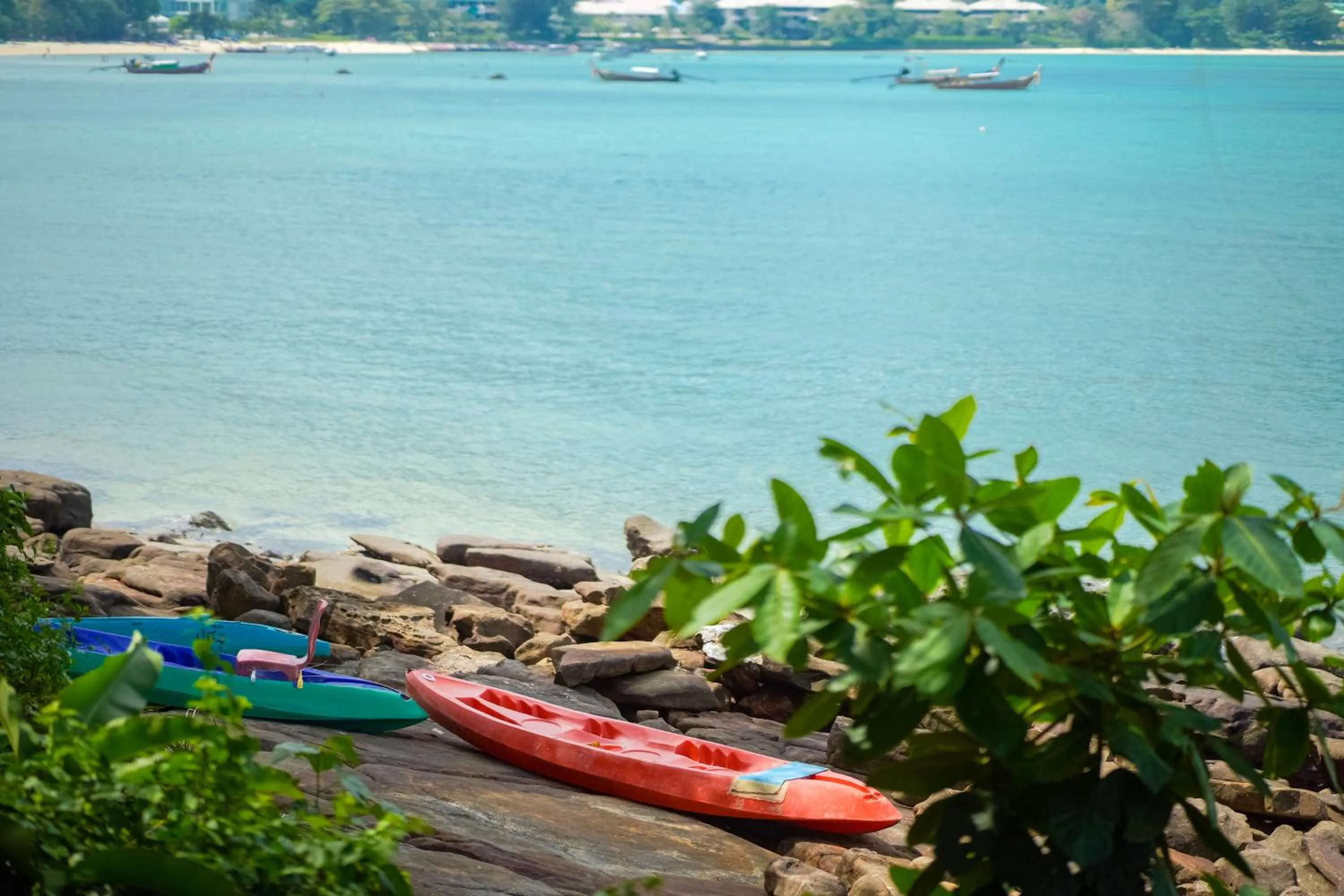 Natural landscape in Phi Phi Cozy Seafront Resort
