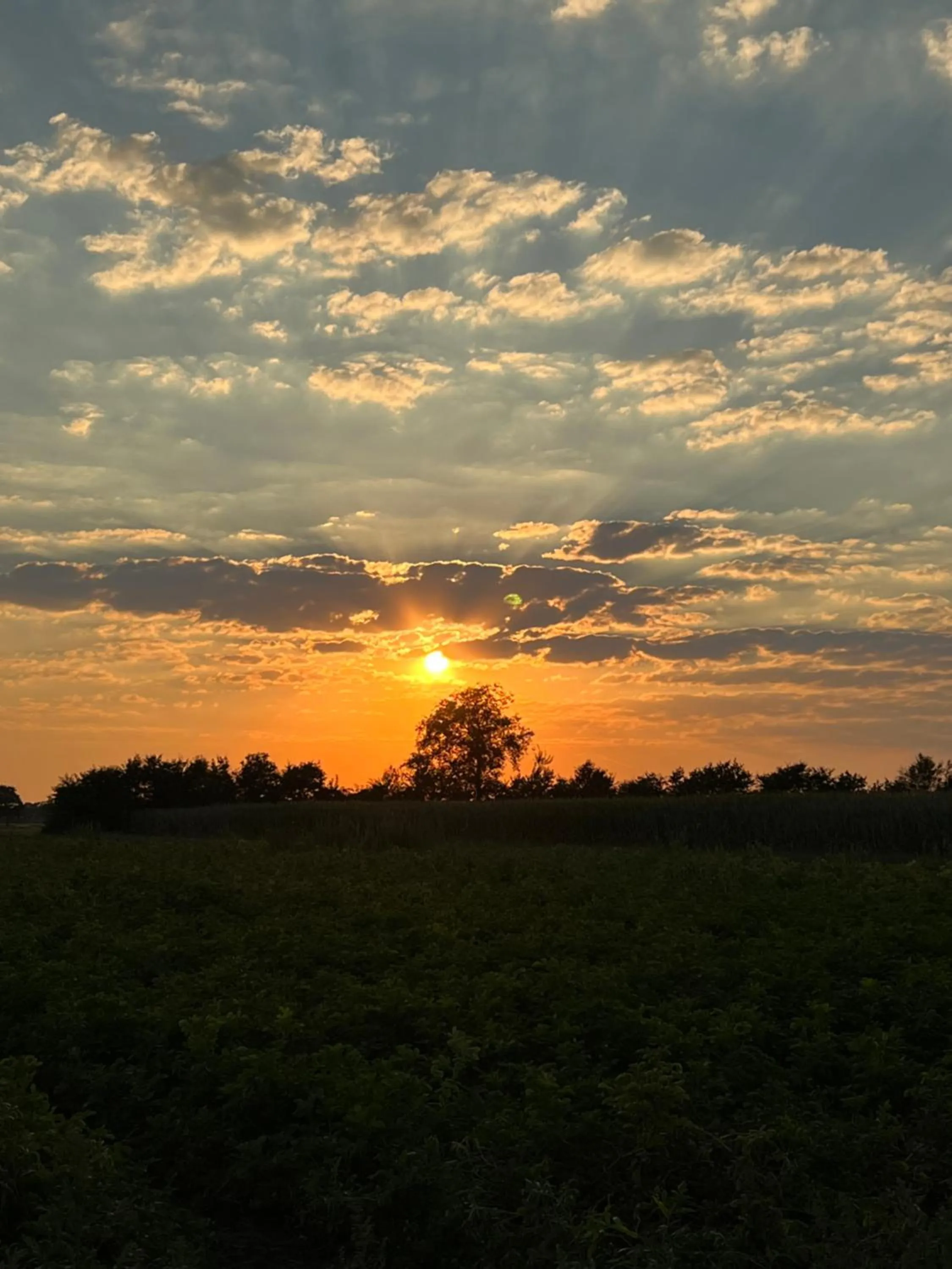 Hotel-Eetcafé d'Olde Heerd