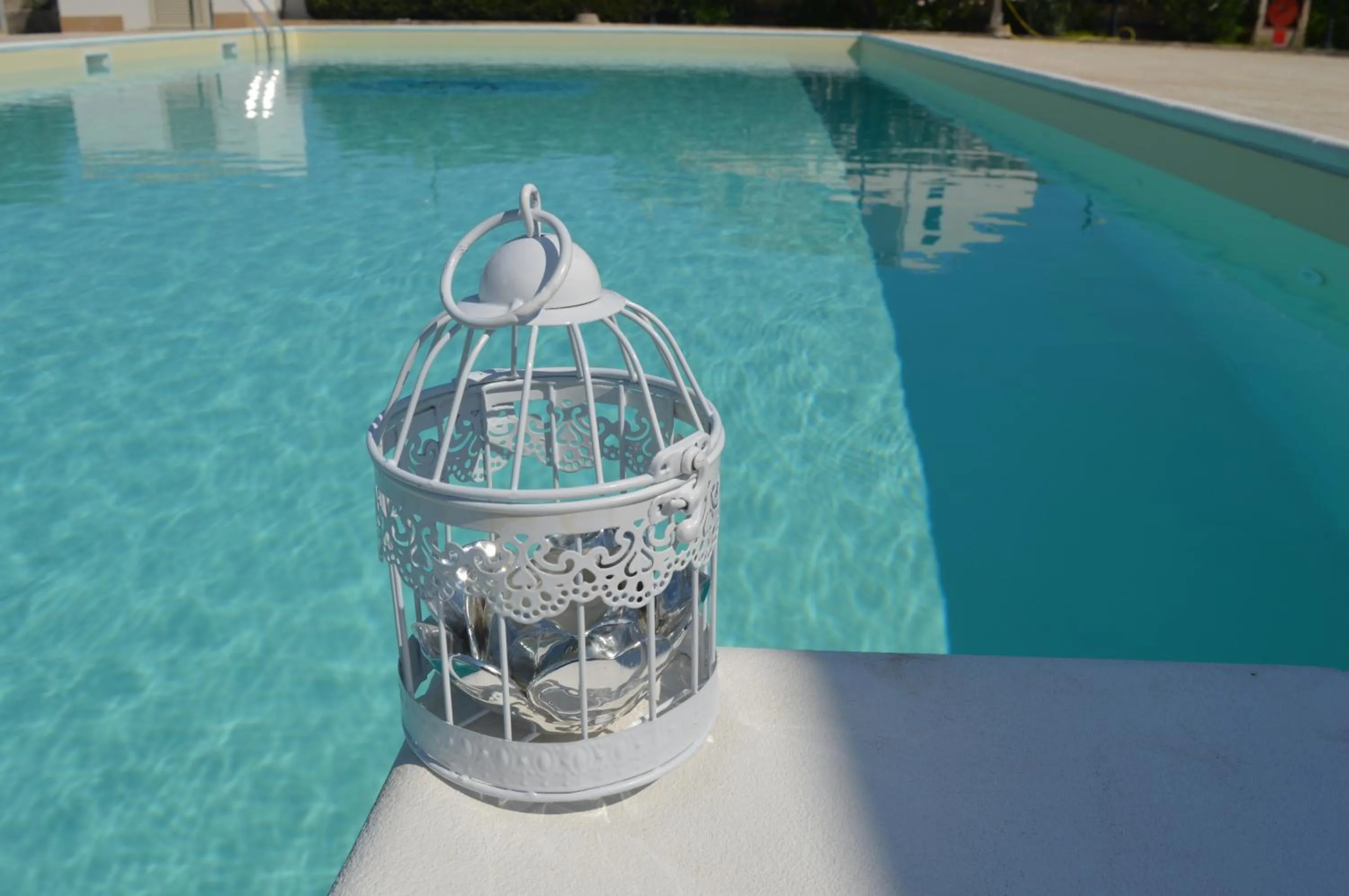 Swimming pool in Hotel Continental