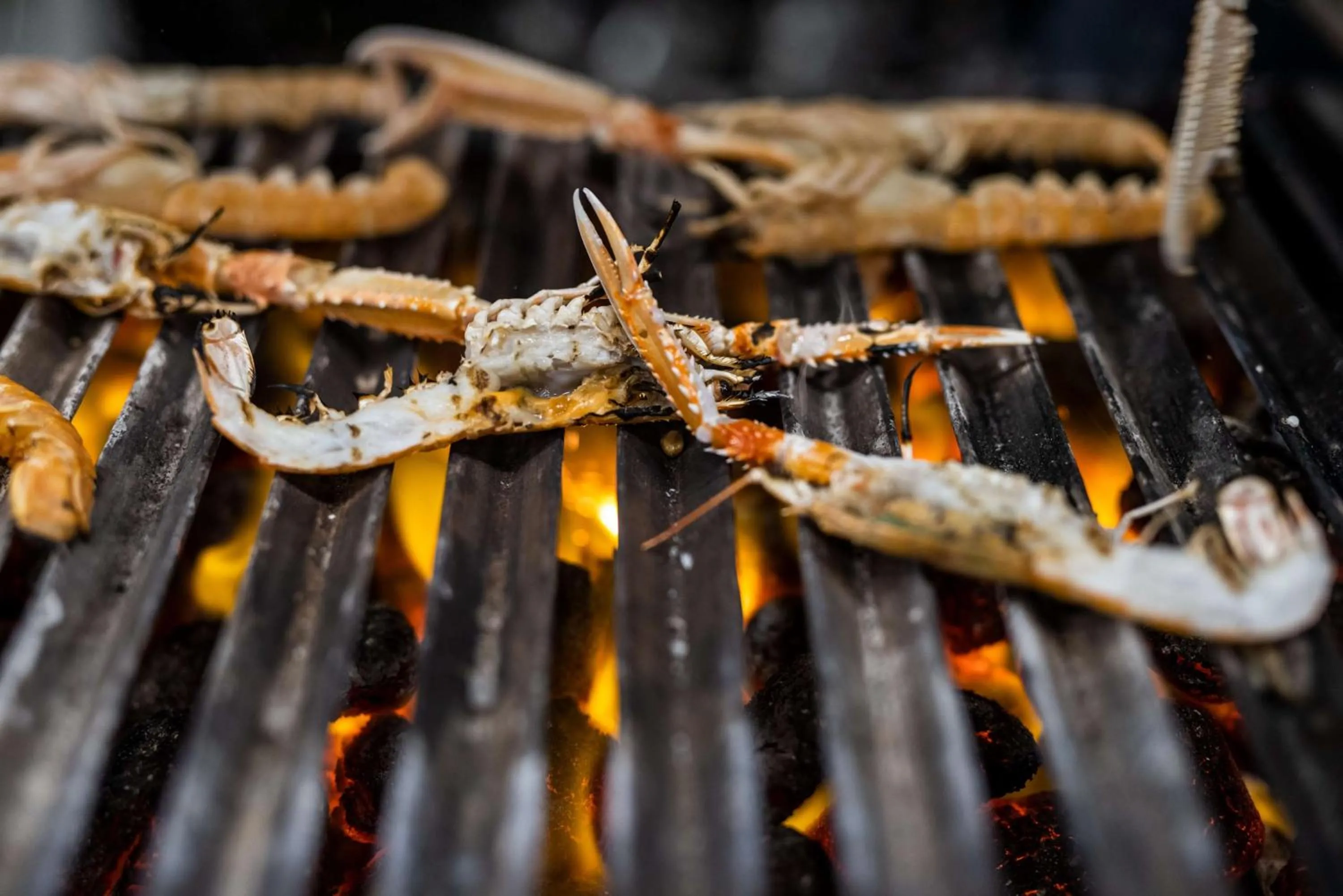 Food and drinks in Scandic Kødbyen