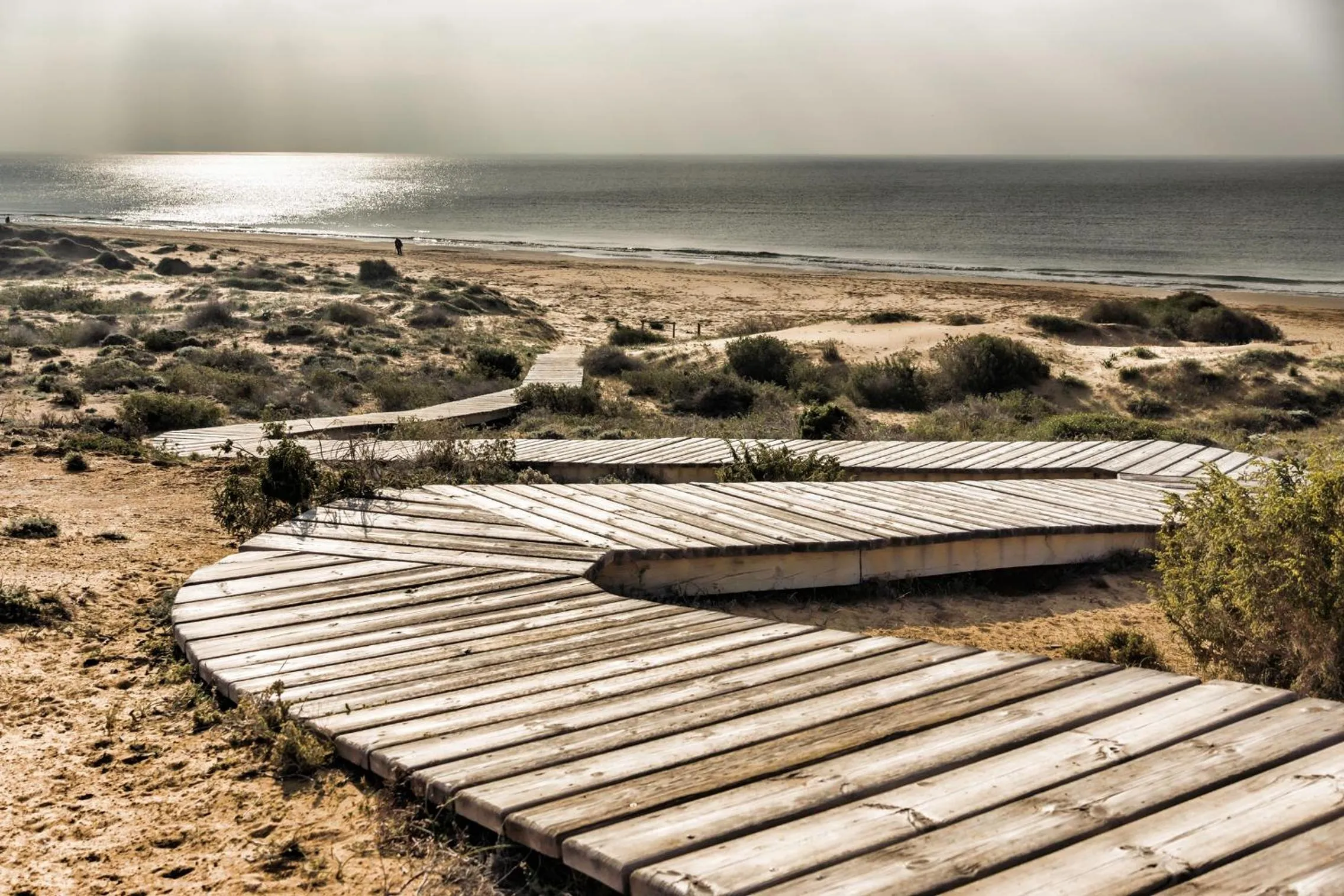 Beach in Hotel La Posada