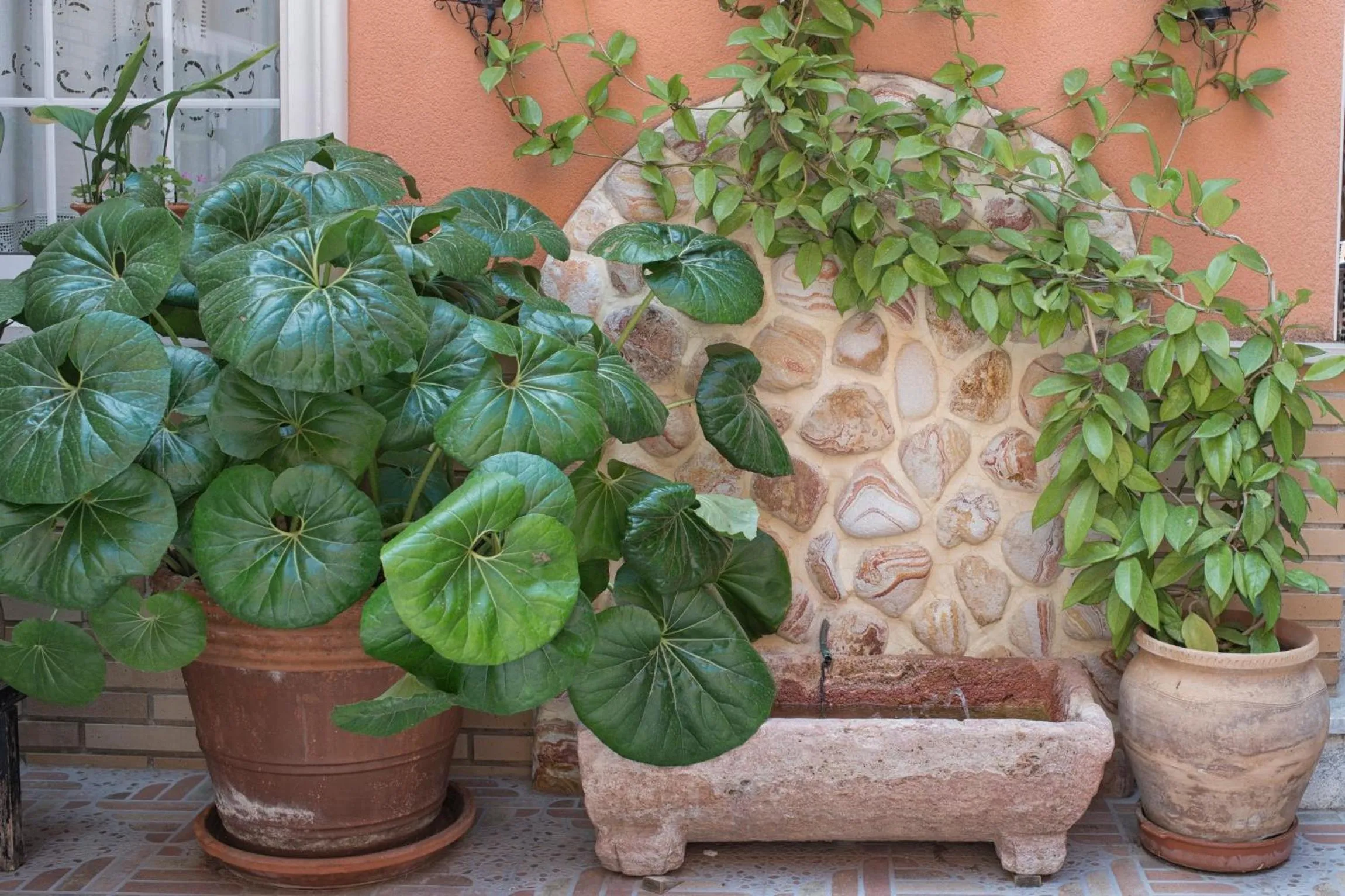 Balcony/Terrace in Hotel La Posada