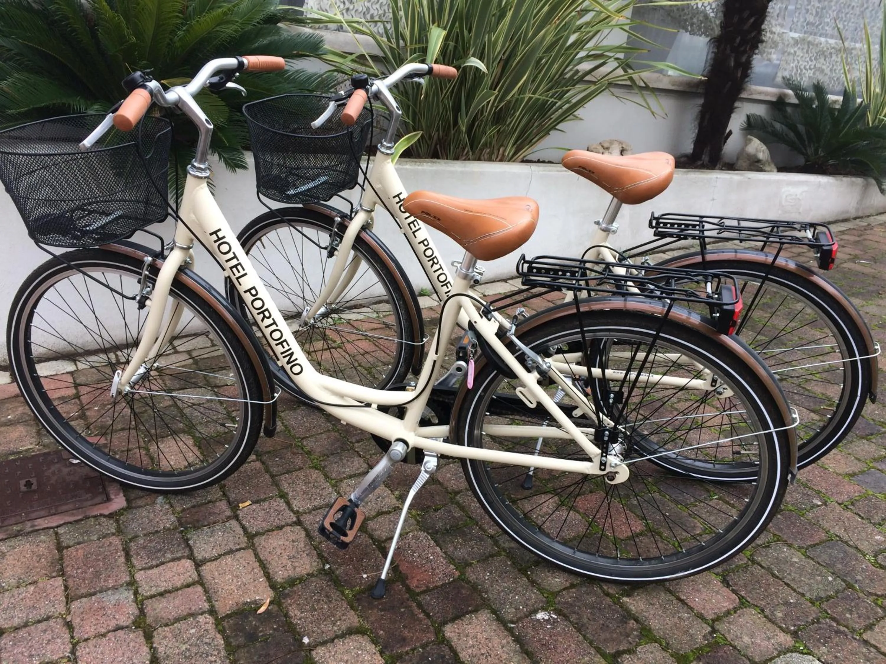 Activities in Hotel Portofino