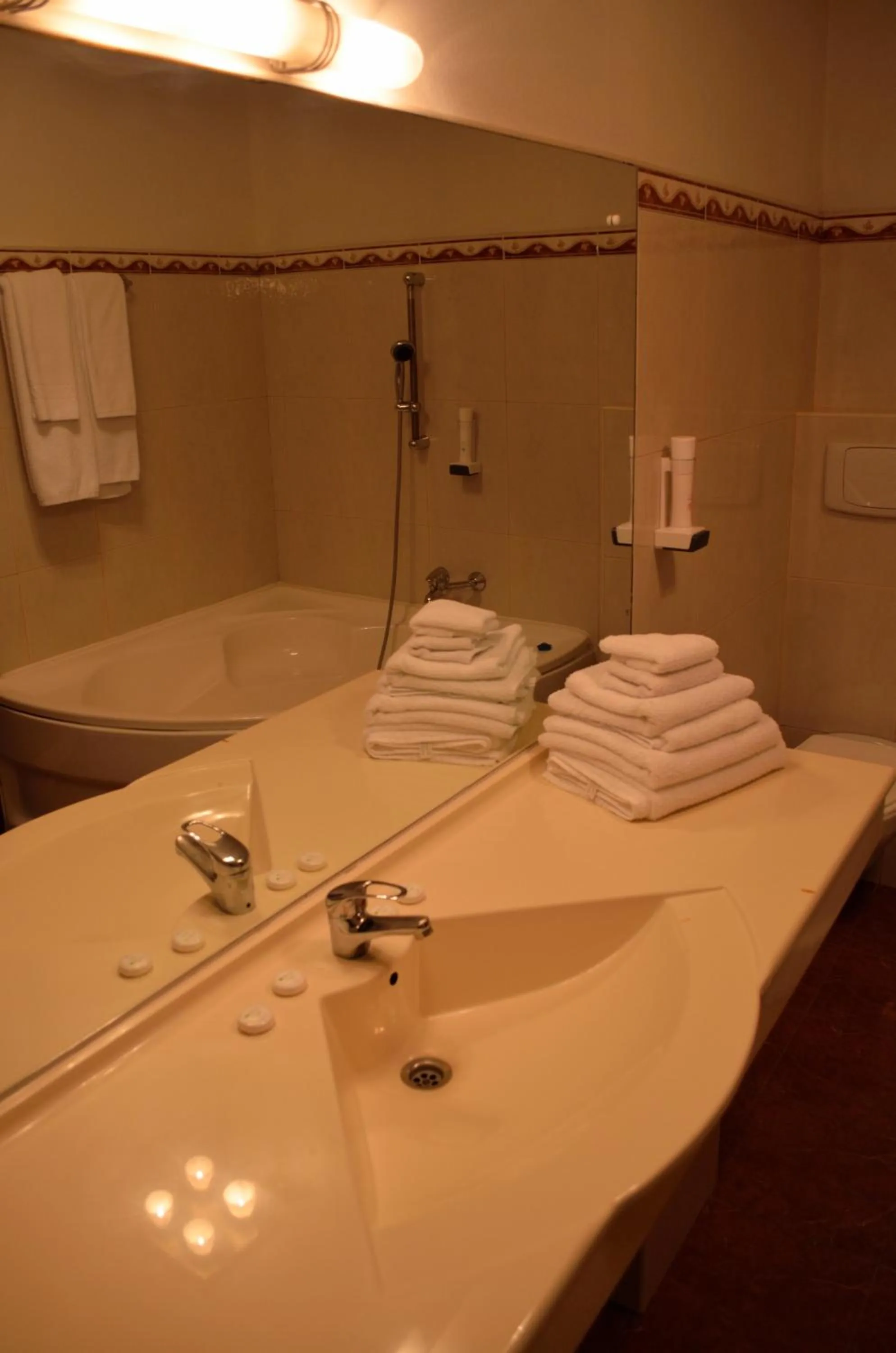 Bathroom in Hotel Rusu