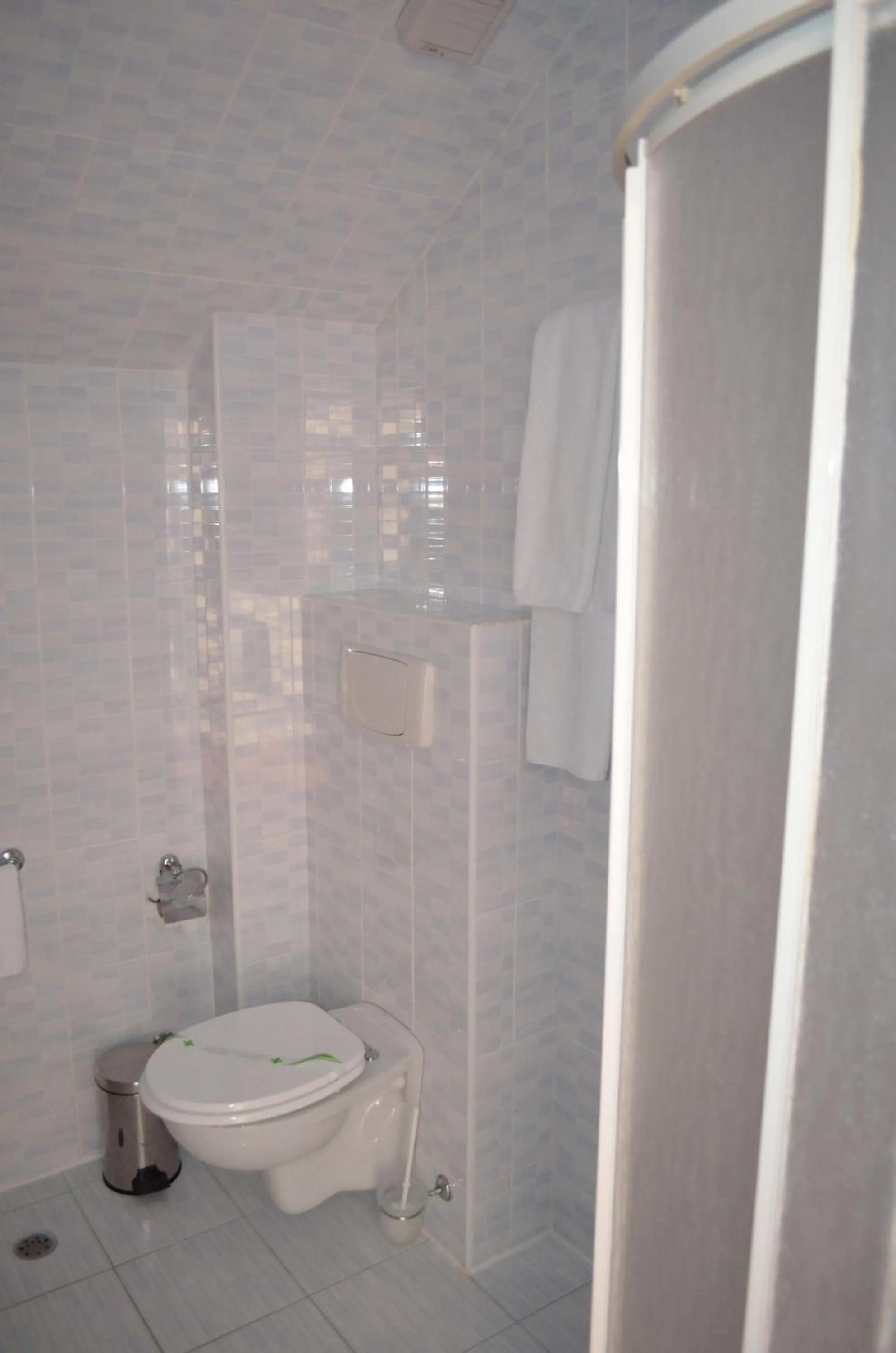 Shower in Hotel Rusu