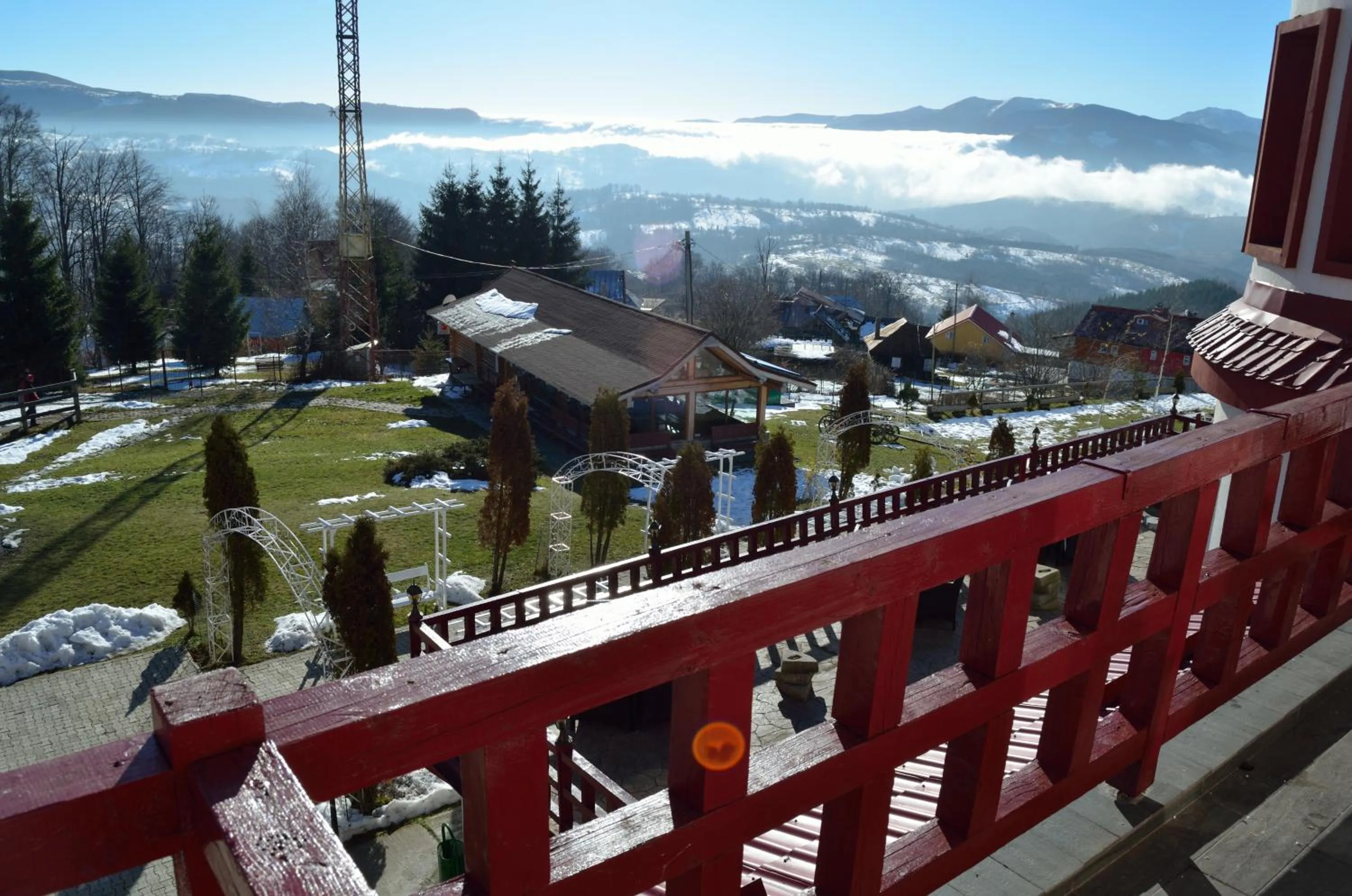 Garden in Hotel Rusu