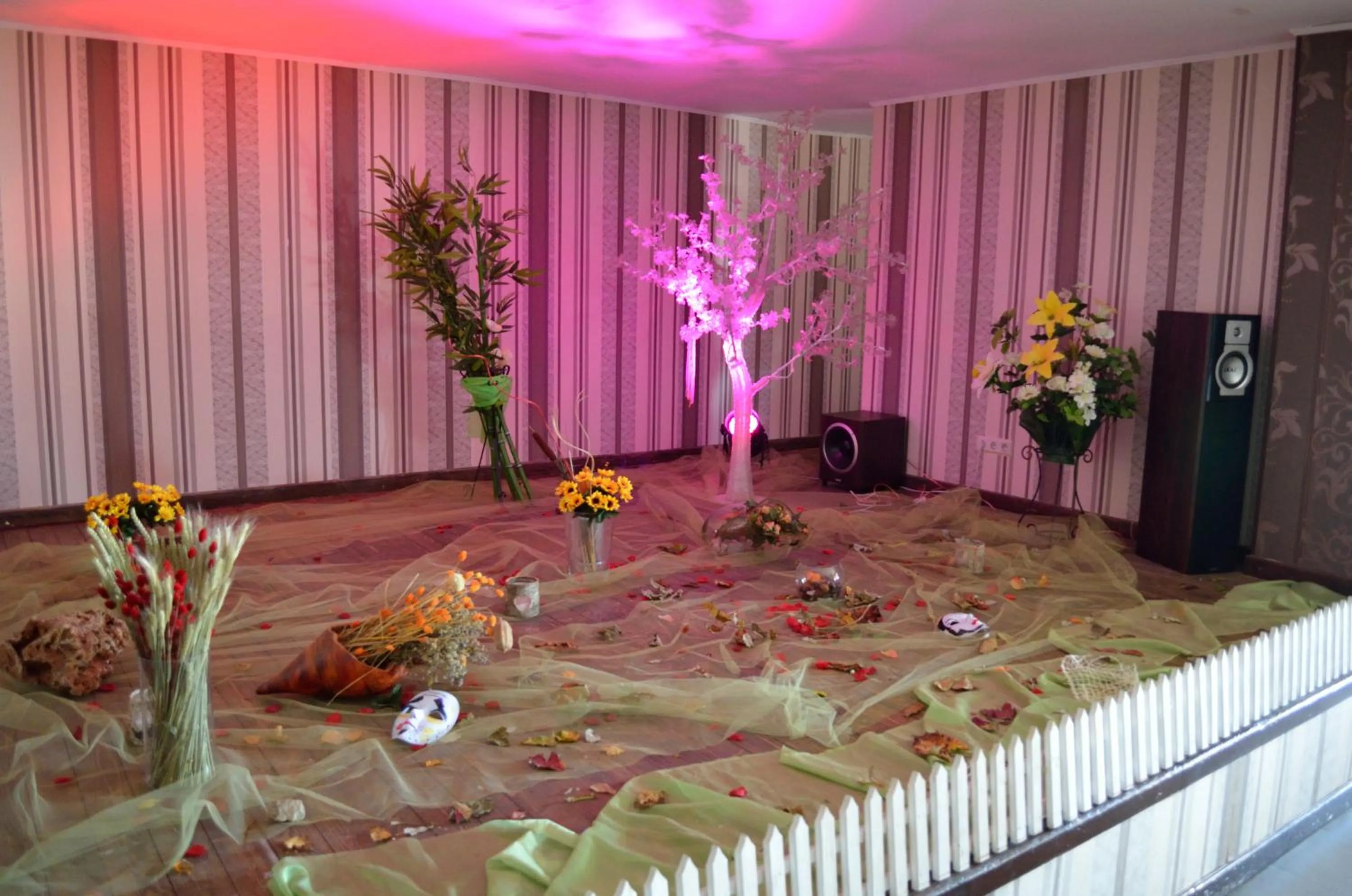 Banquet/Function facilities in Hotel Rusu