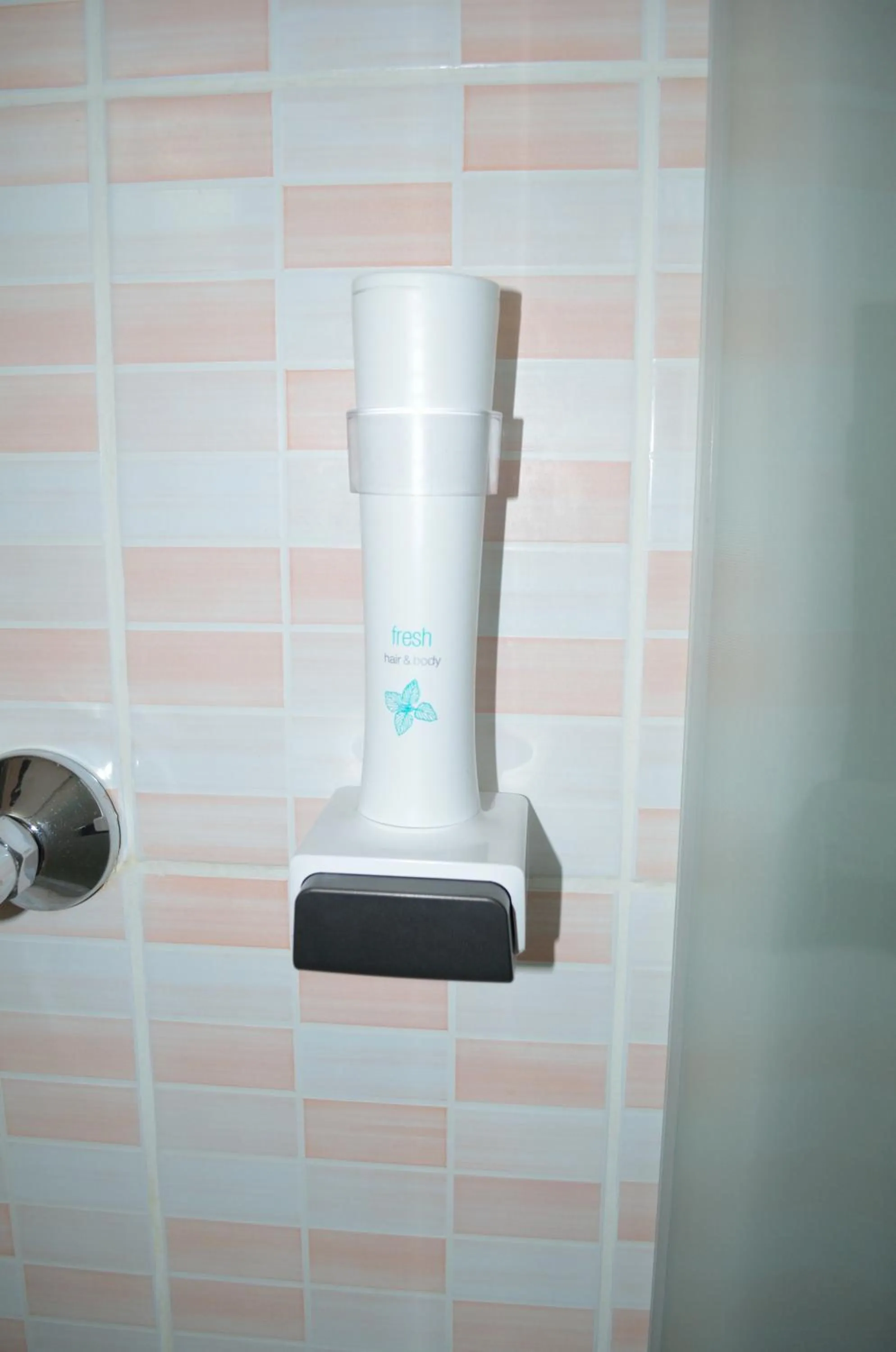 Shower in Hotel Rusu