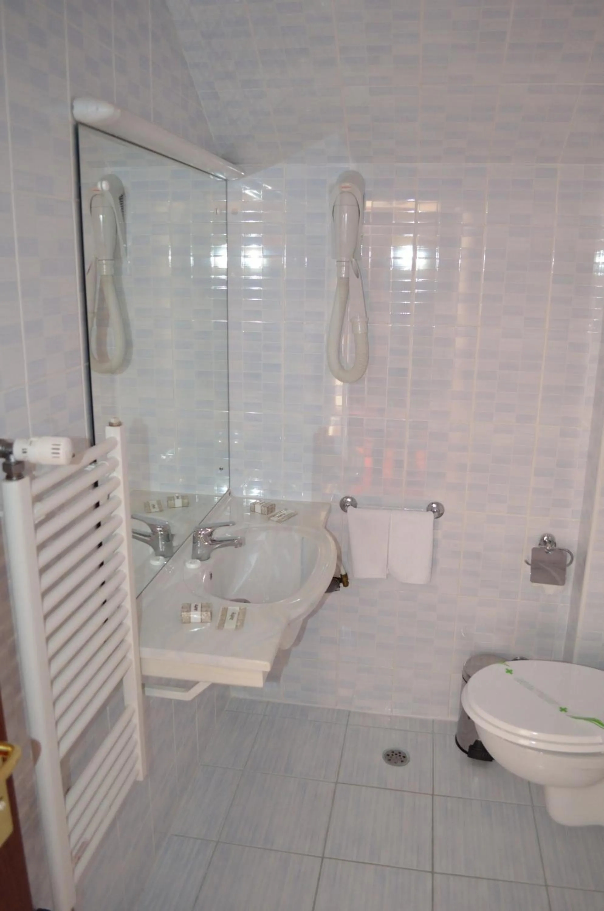 Toilet in Hotel Rusu