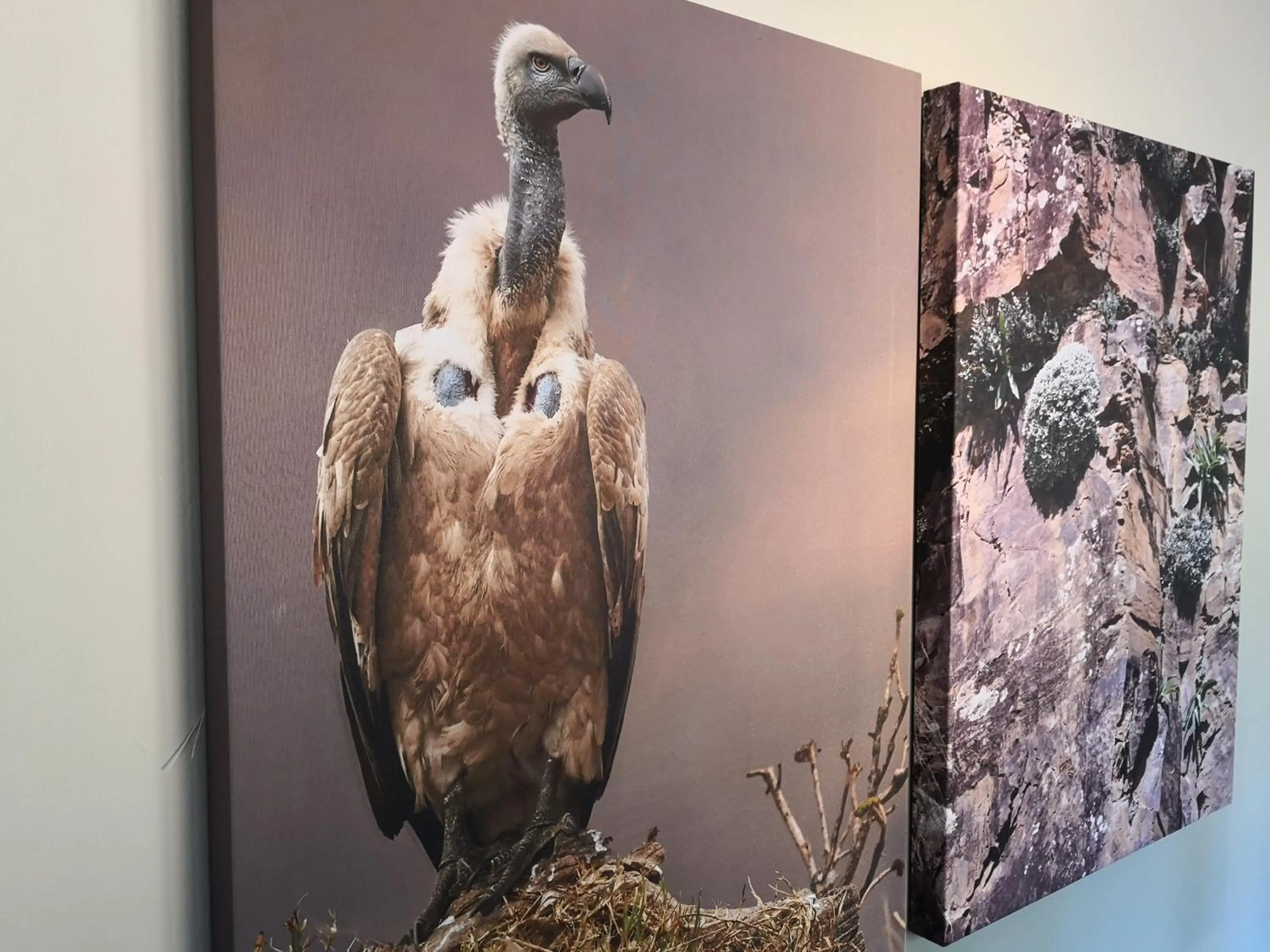 Decorative detail in Premier Resort Sani Pass