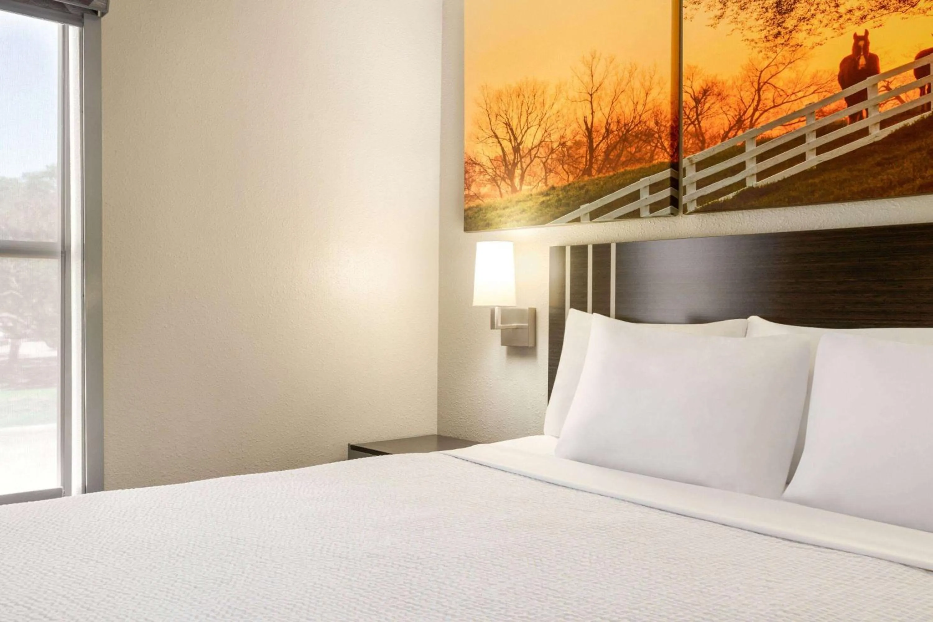 Photo of the whole room, Bed in Days Inn by Wyndham San Antonio Near Fiesta Park