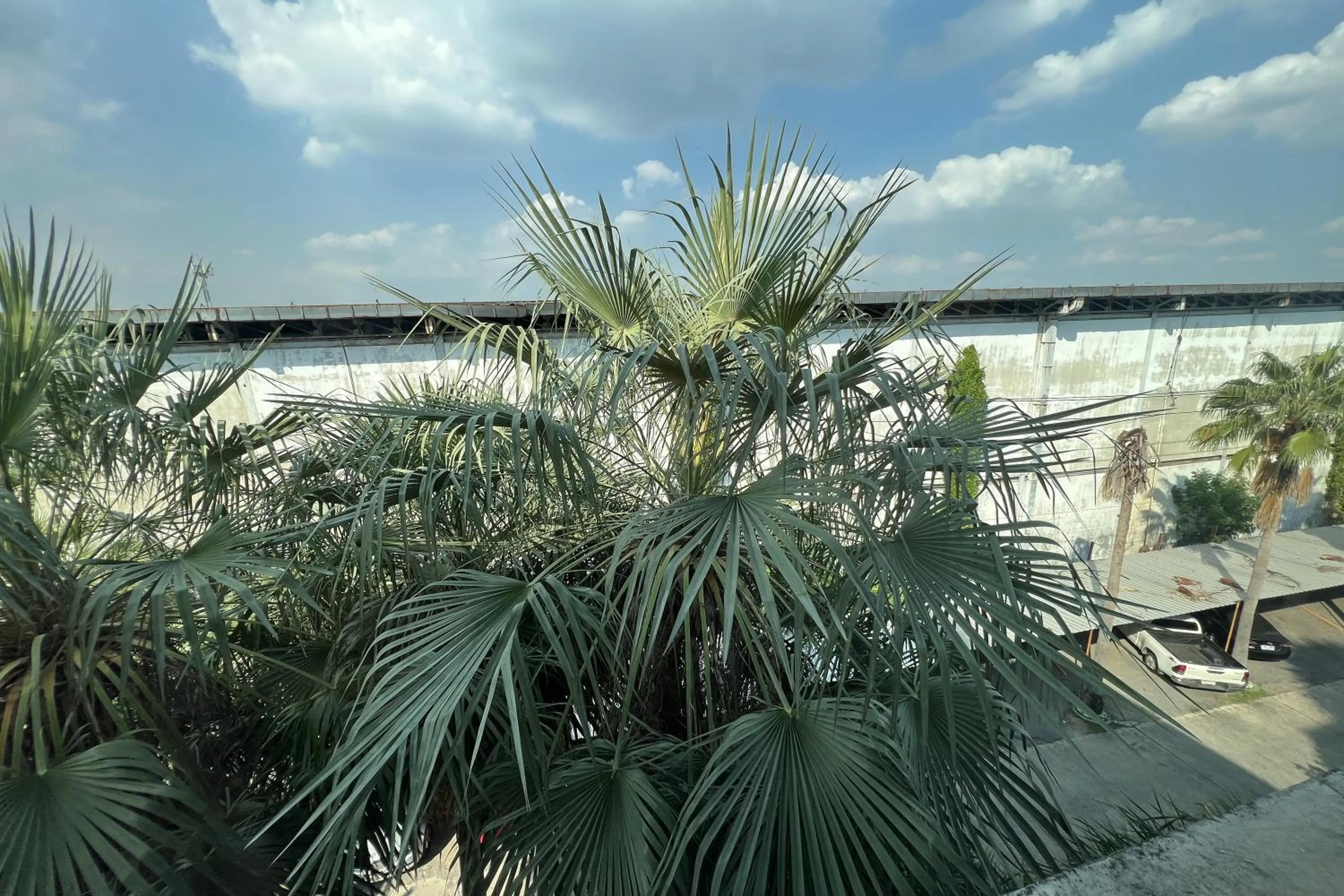 View (from property/room) in Eurna Resort Hotel