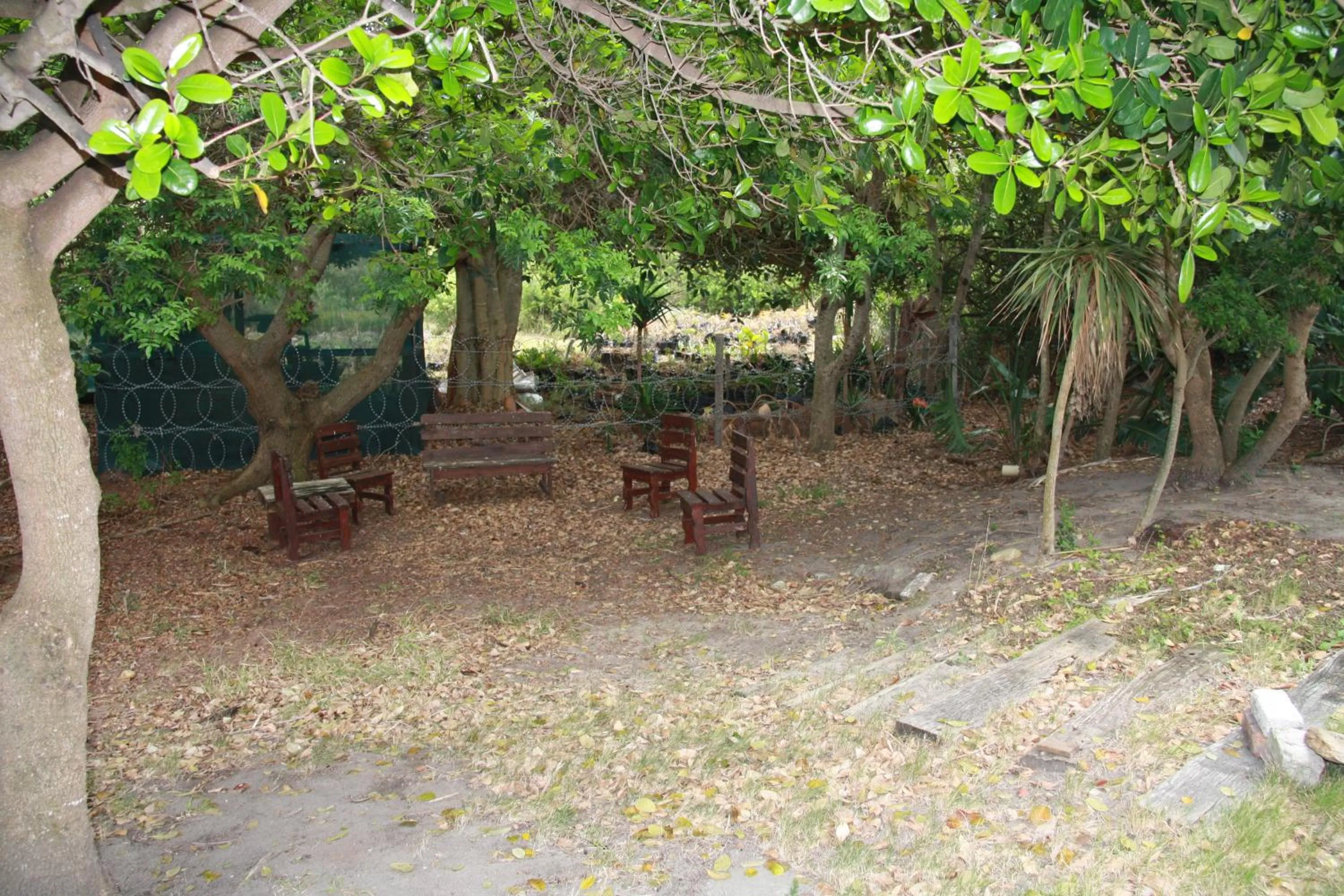 Patio in Supertubes Guesthouse