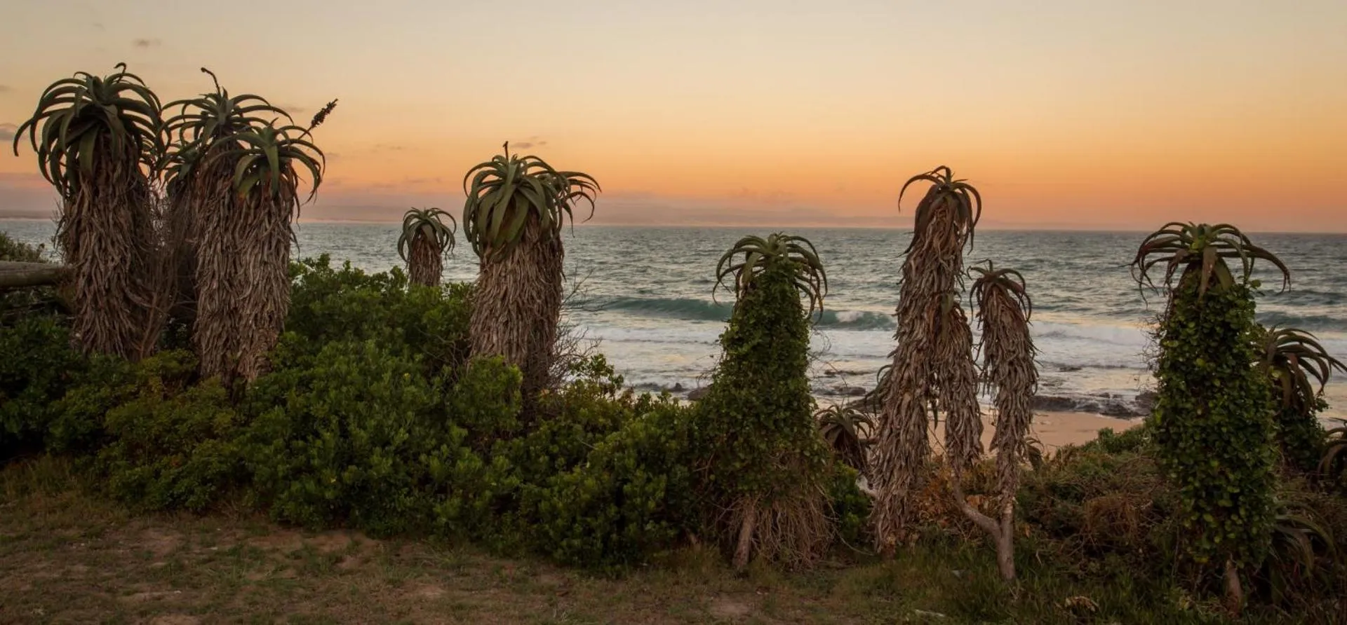 Natural landscape in Supertubes Guesthouse