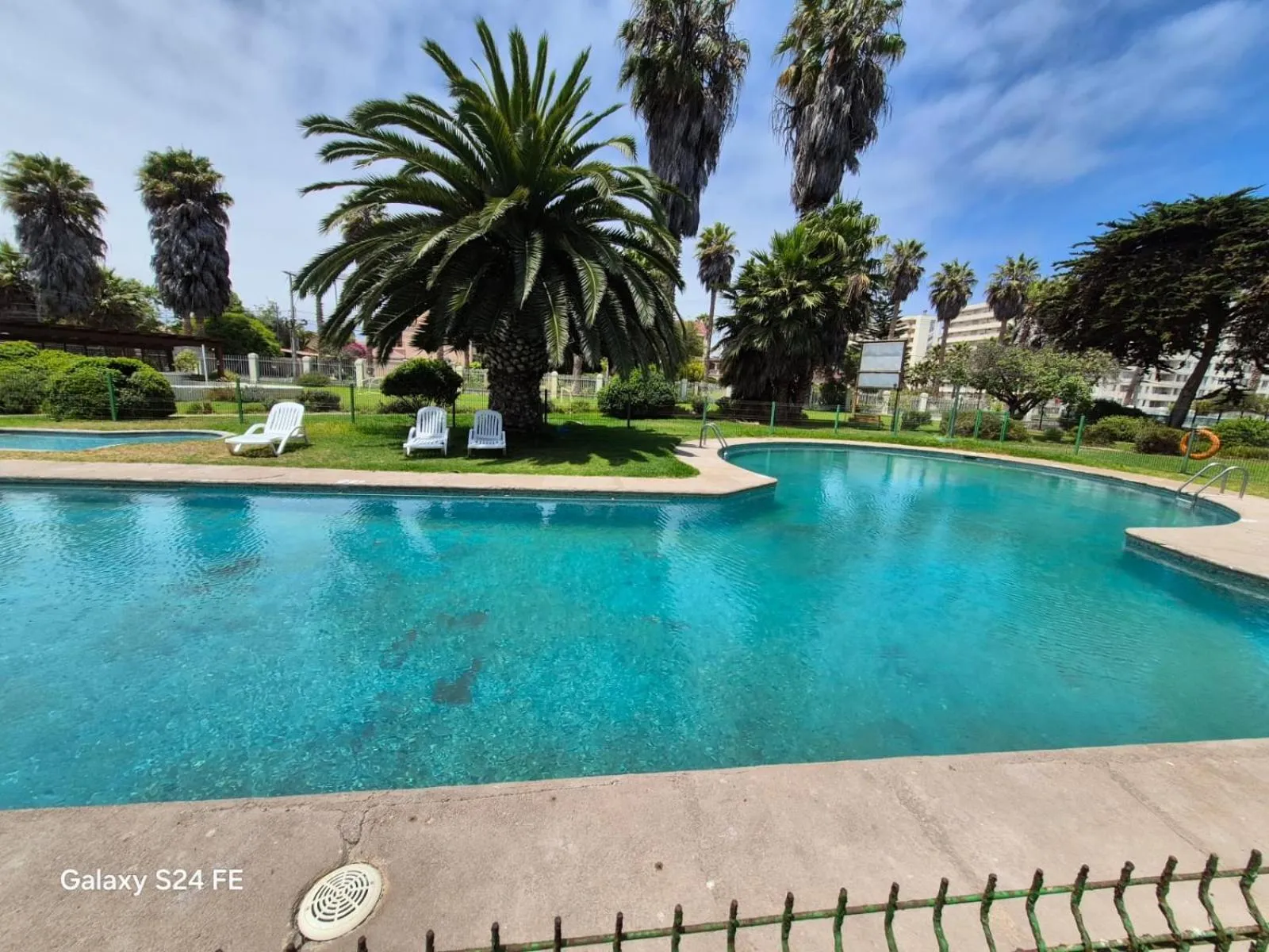 Garden in Hotel Palmas de La Serena