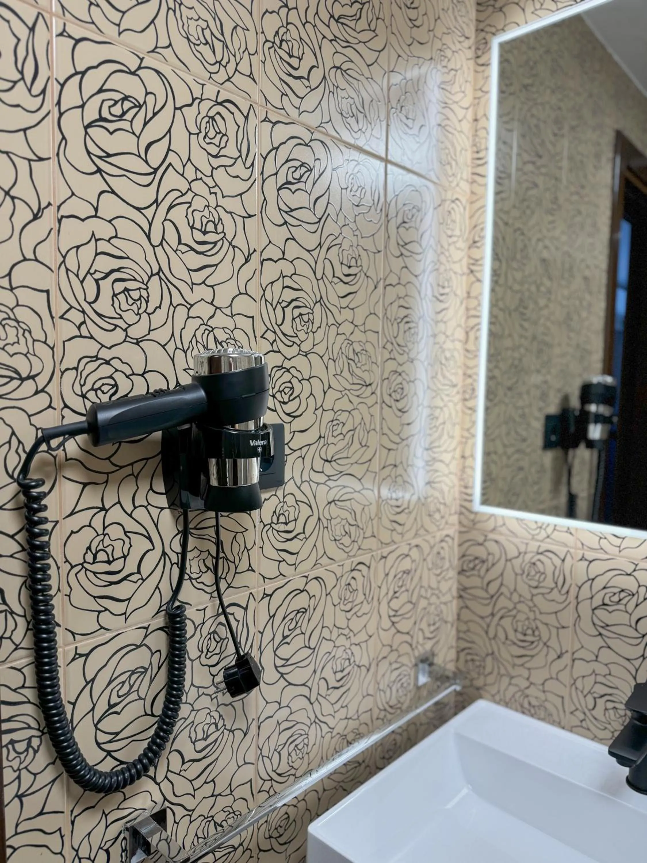 Shower in Hotel FAN Sebes