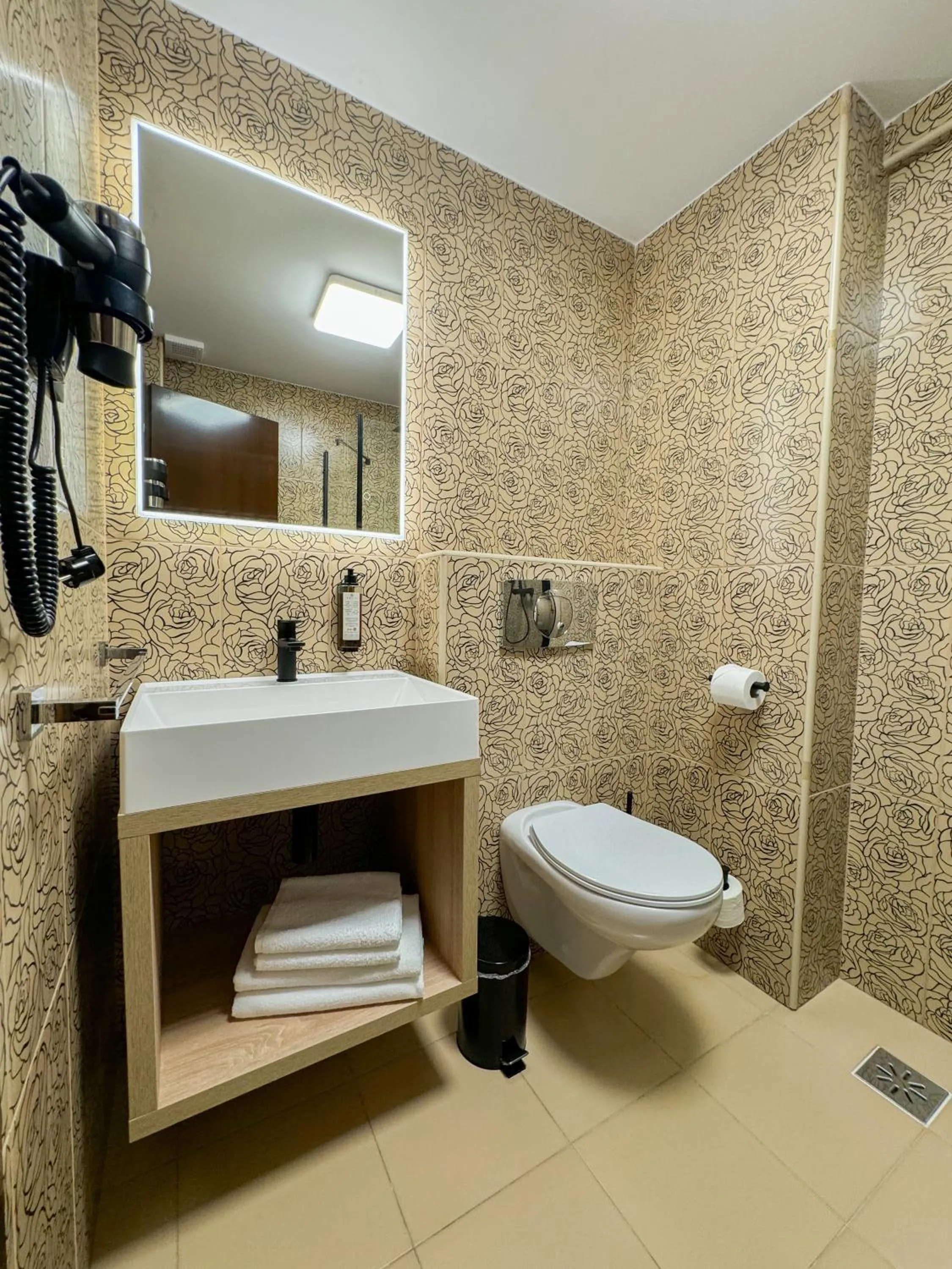 Toilet in Hotel FAN Sebes