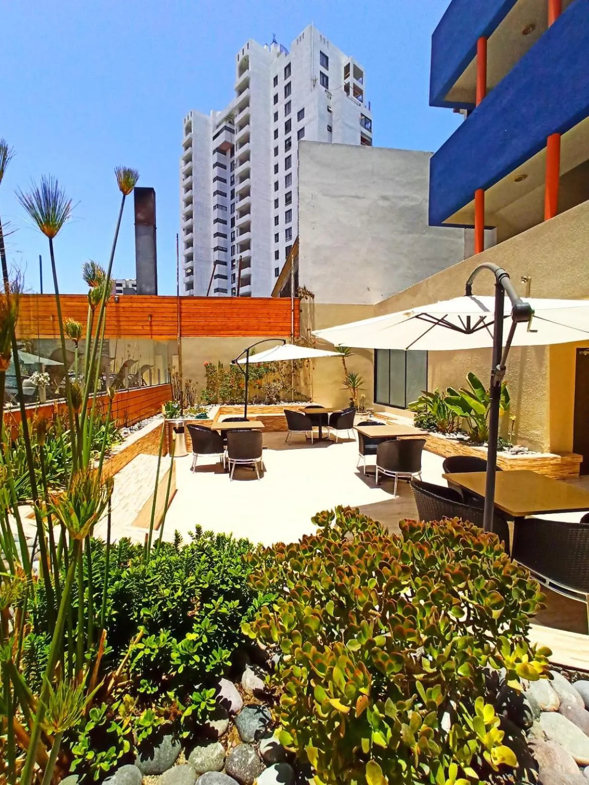 Swimming pool in Gran Cavancha Suite