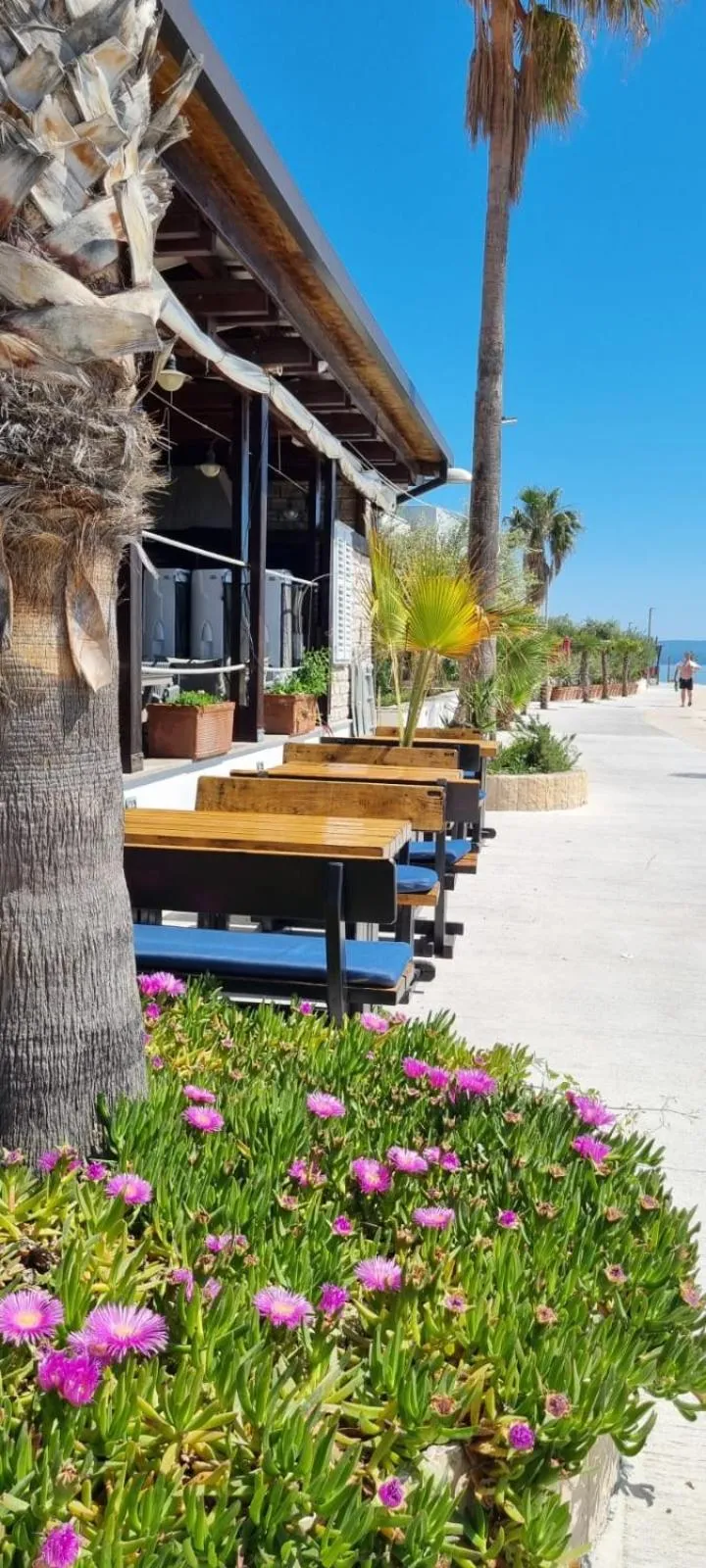 Natural landscape in Hotel Gala Split