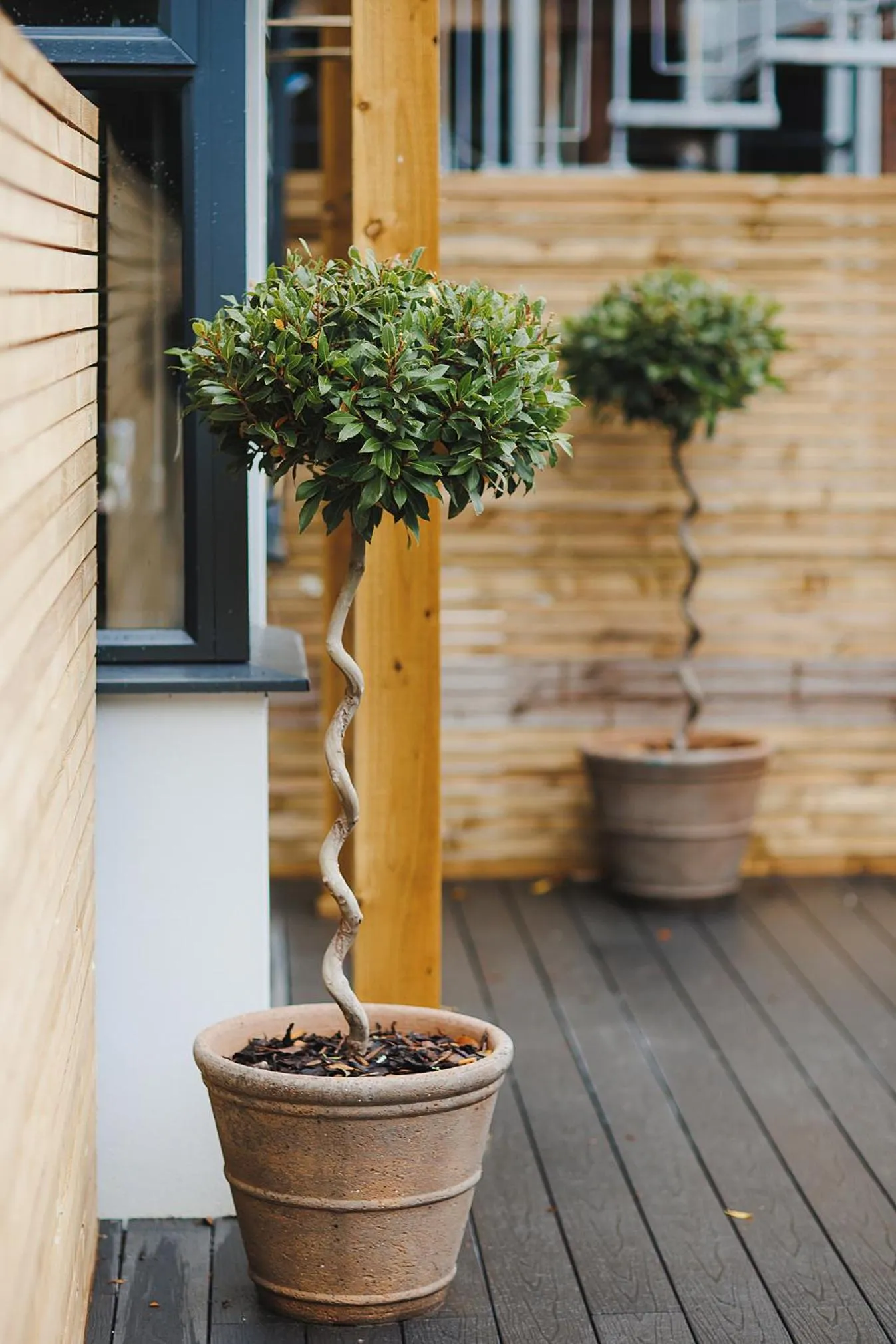 Decorative detail in The Dukeries Lodge, Edwinstowe, Nottinghamshire
